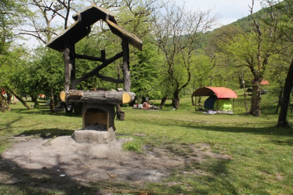 پارک-جنگلی-جوارم-سواد-کوه-3-600x400.jpg