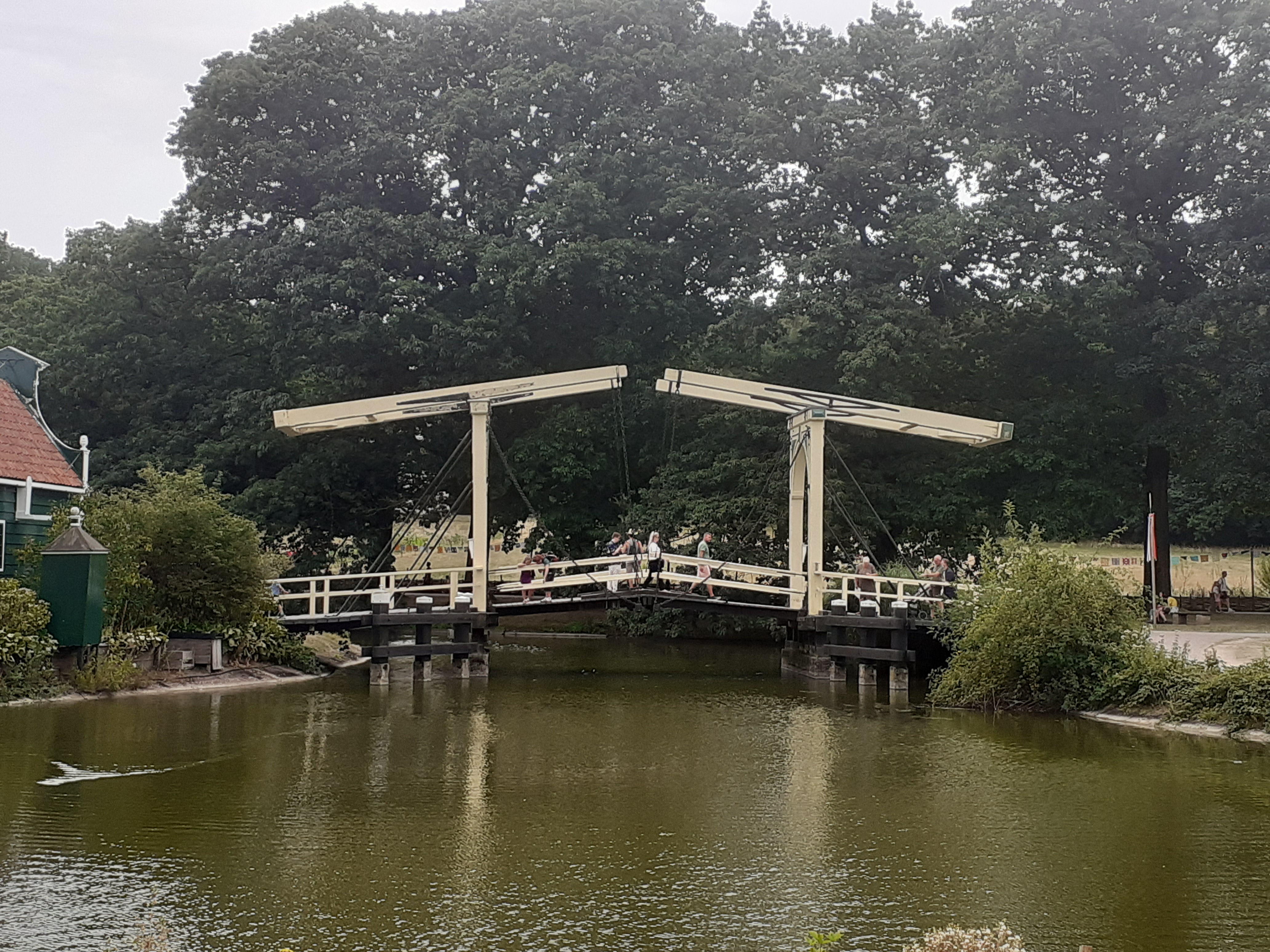 20260809_170413.jpg