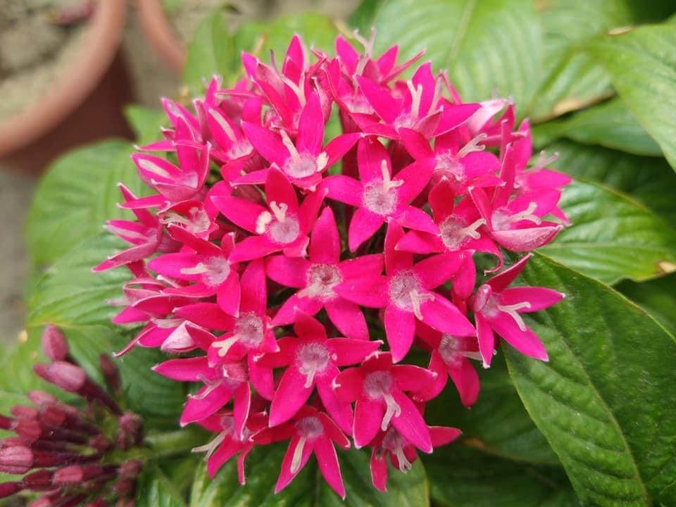 B1AA52AD-8097-42CC-97A5-48AB4DC4C5F6.jpeg