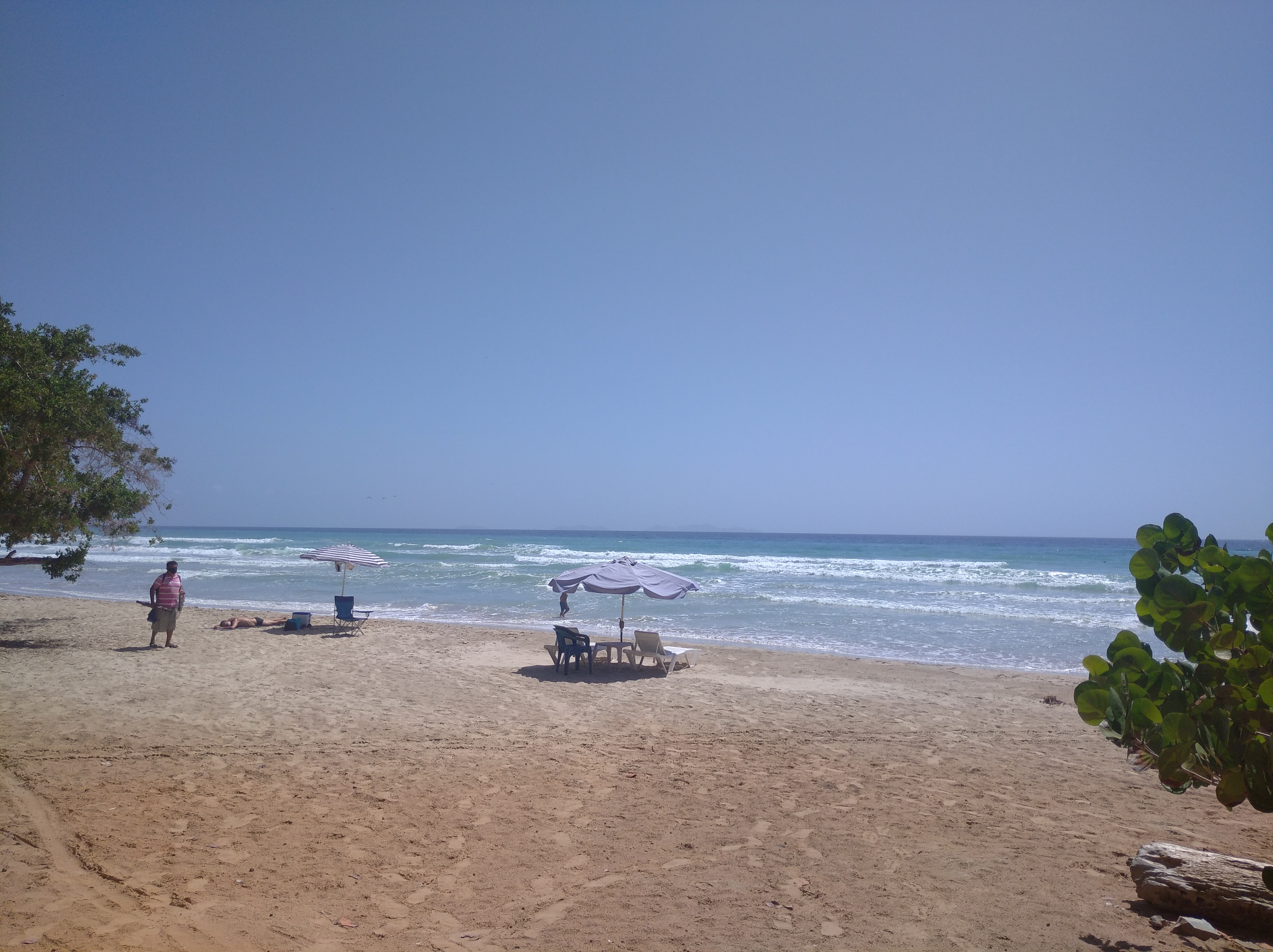 IMG_20210529_101456.jpg