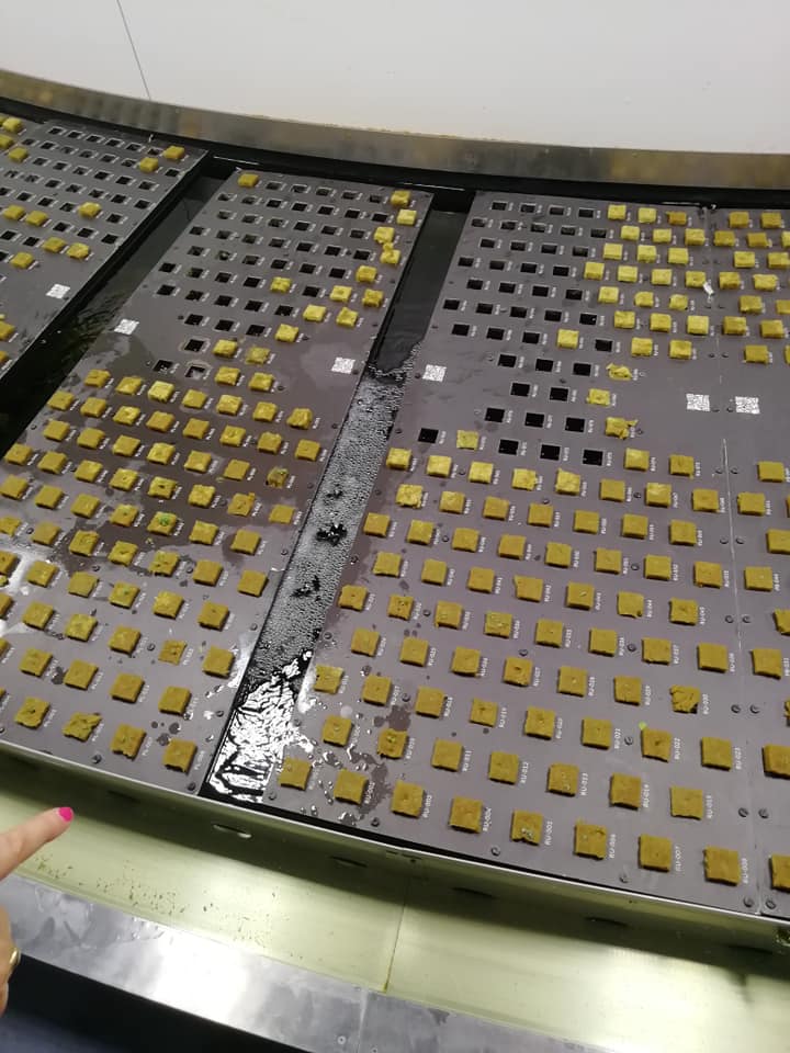 56874427_10161930561945554_6777170836437598208_n.jpg