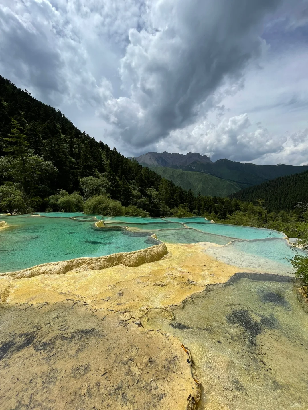 256.webp