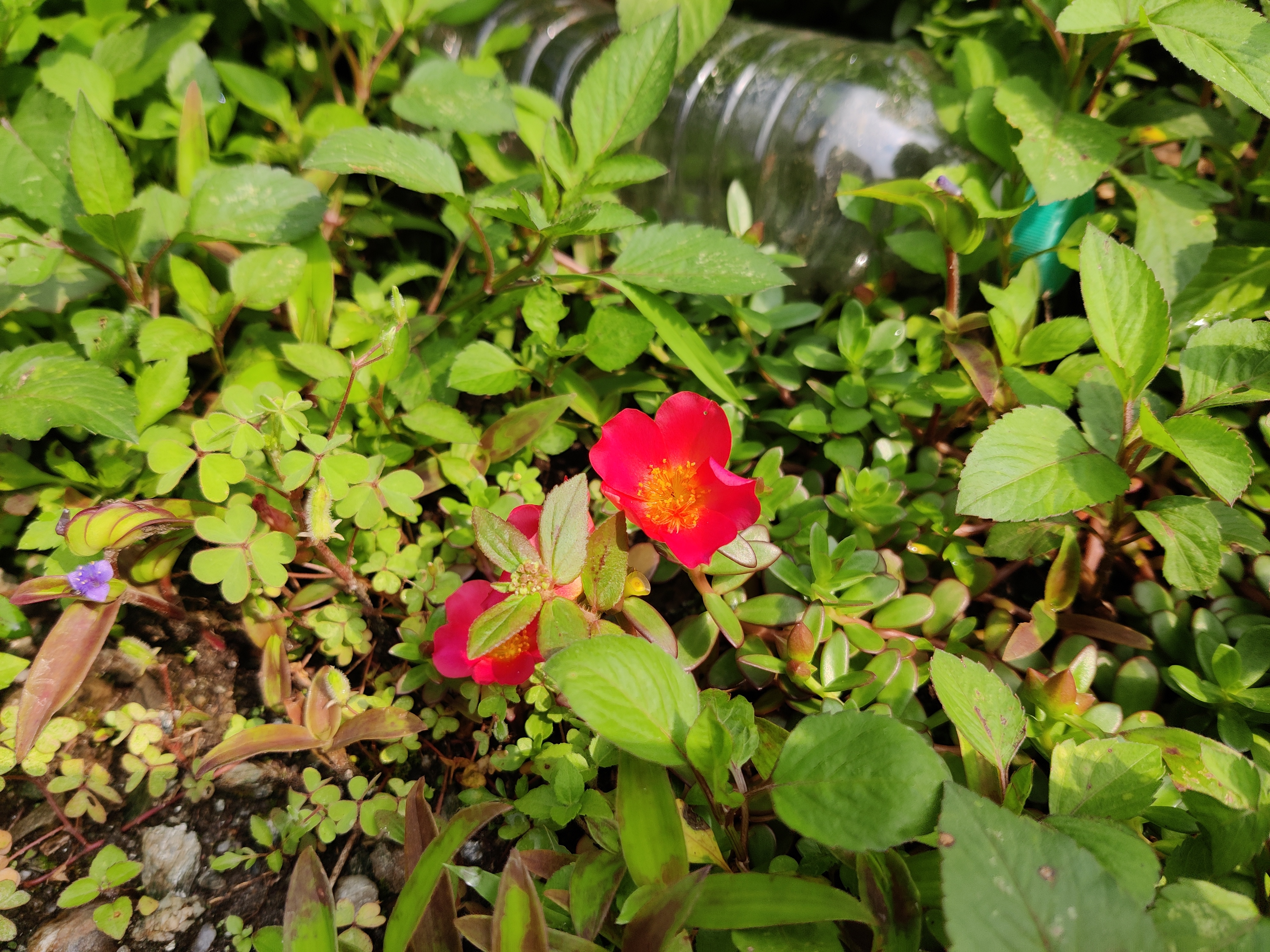 IMG_20260513_082018.jpg