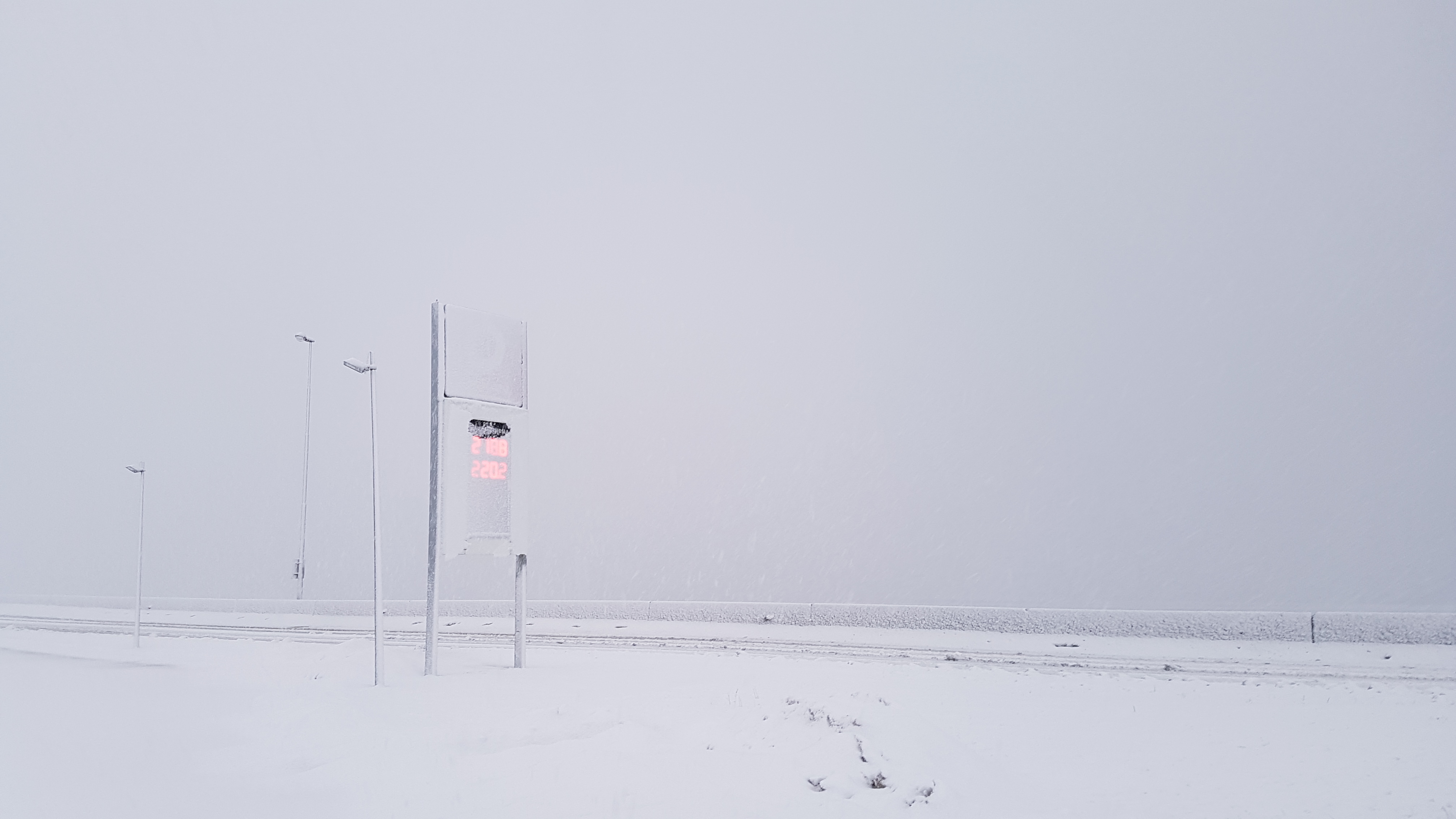 20190119_115048.jpg