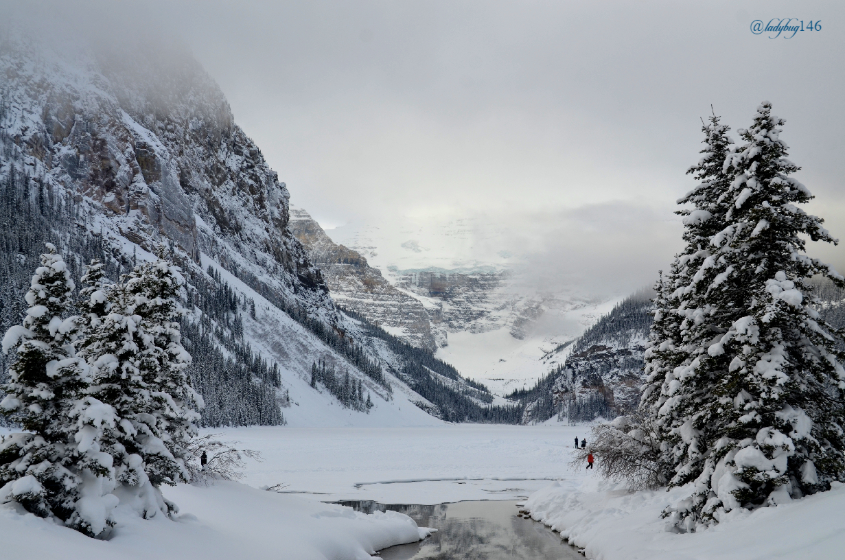 Lake louise (1).jpg