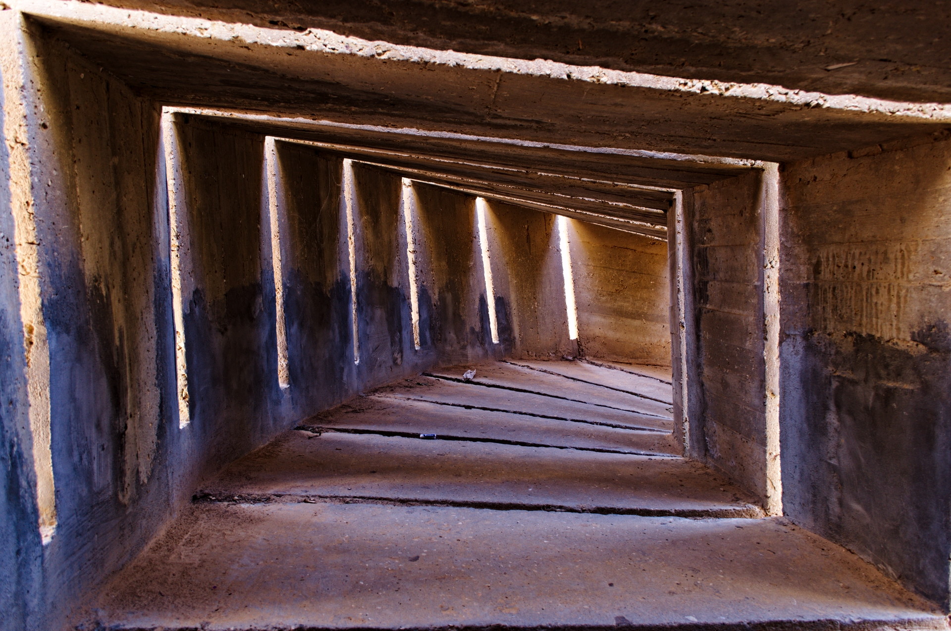 DSC_1927.jpg