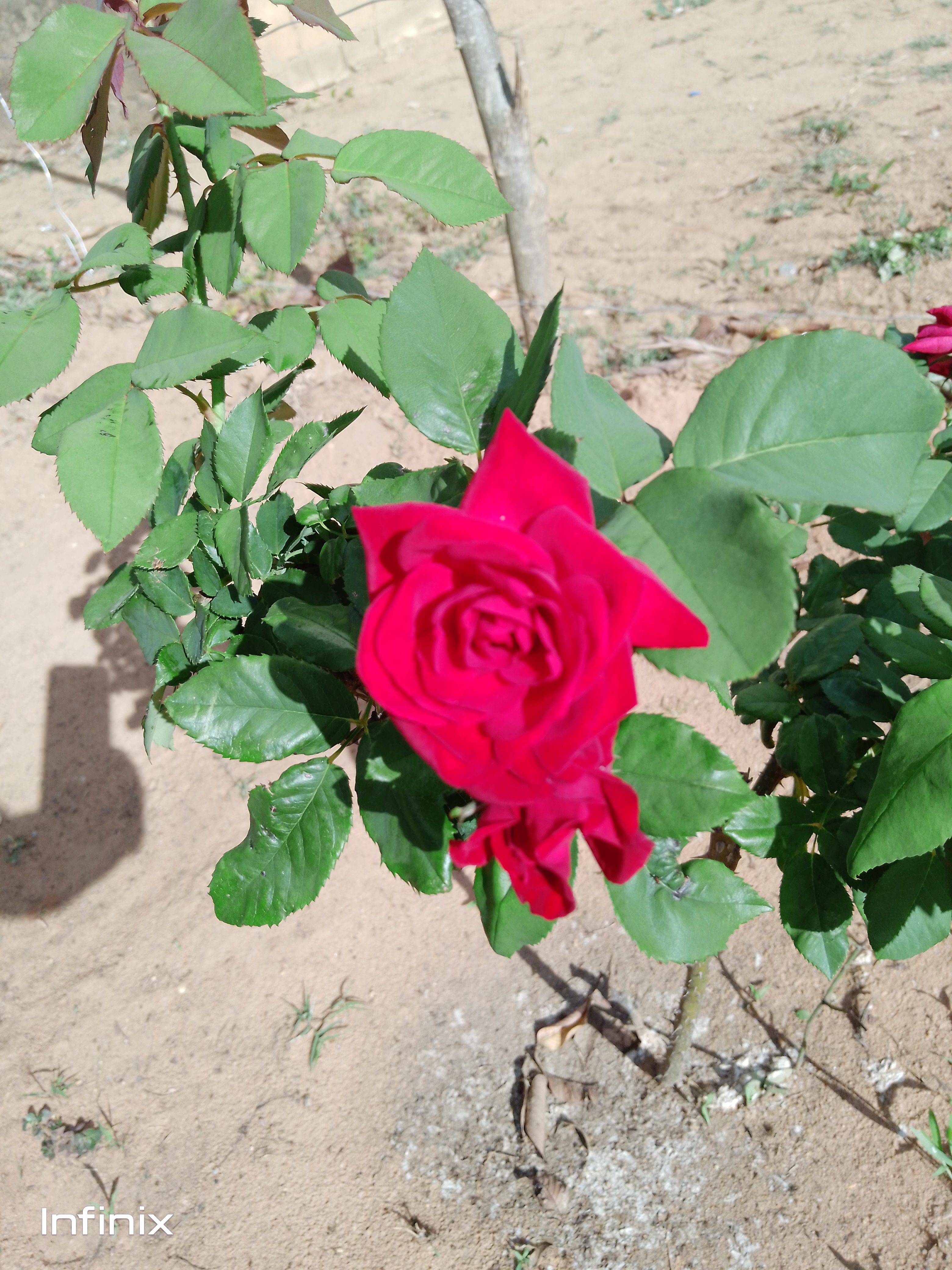 IMG_20220301_160724_399.jpg