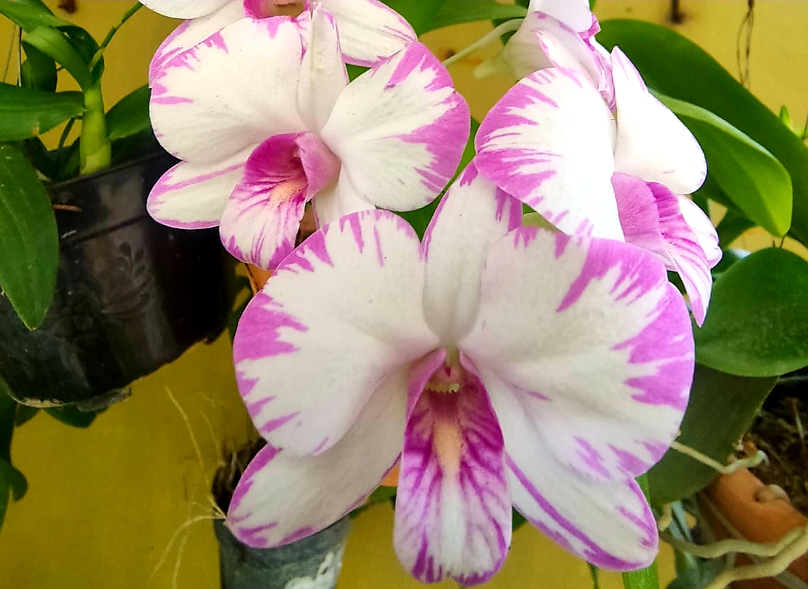 20220105_171652.jpg