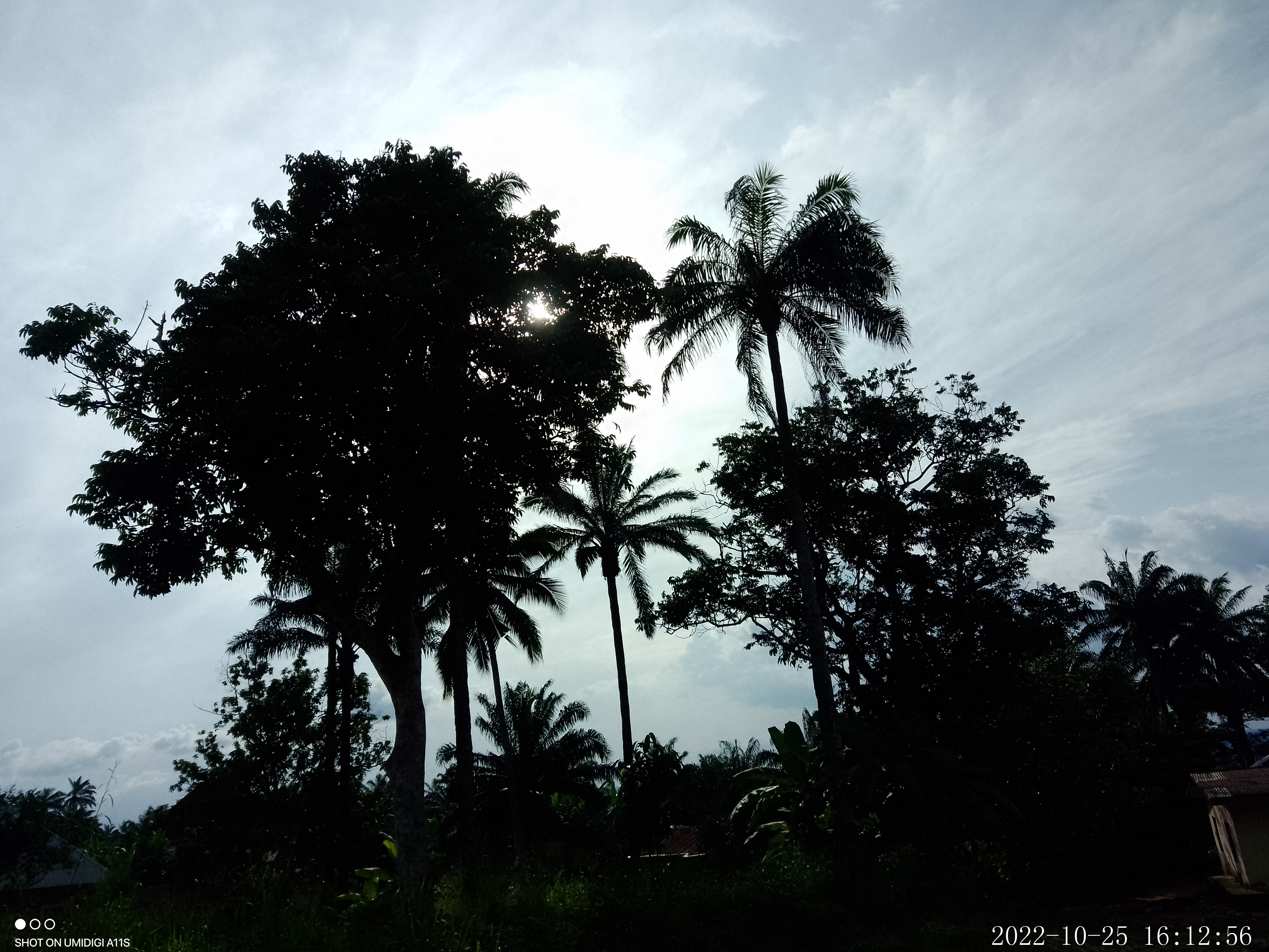 IMG_20221025_161255.jpg