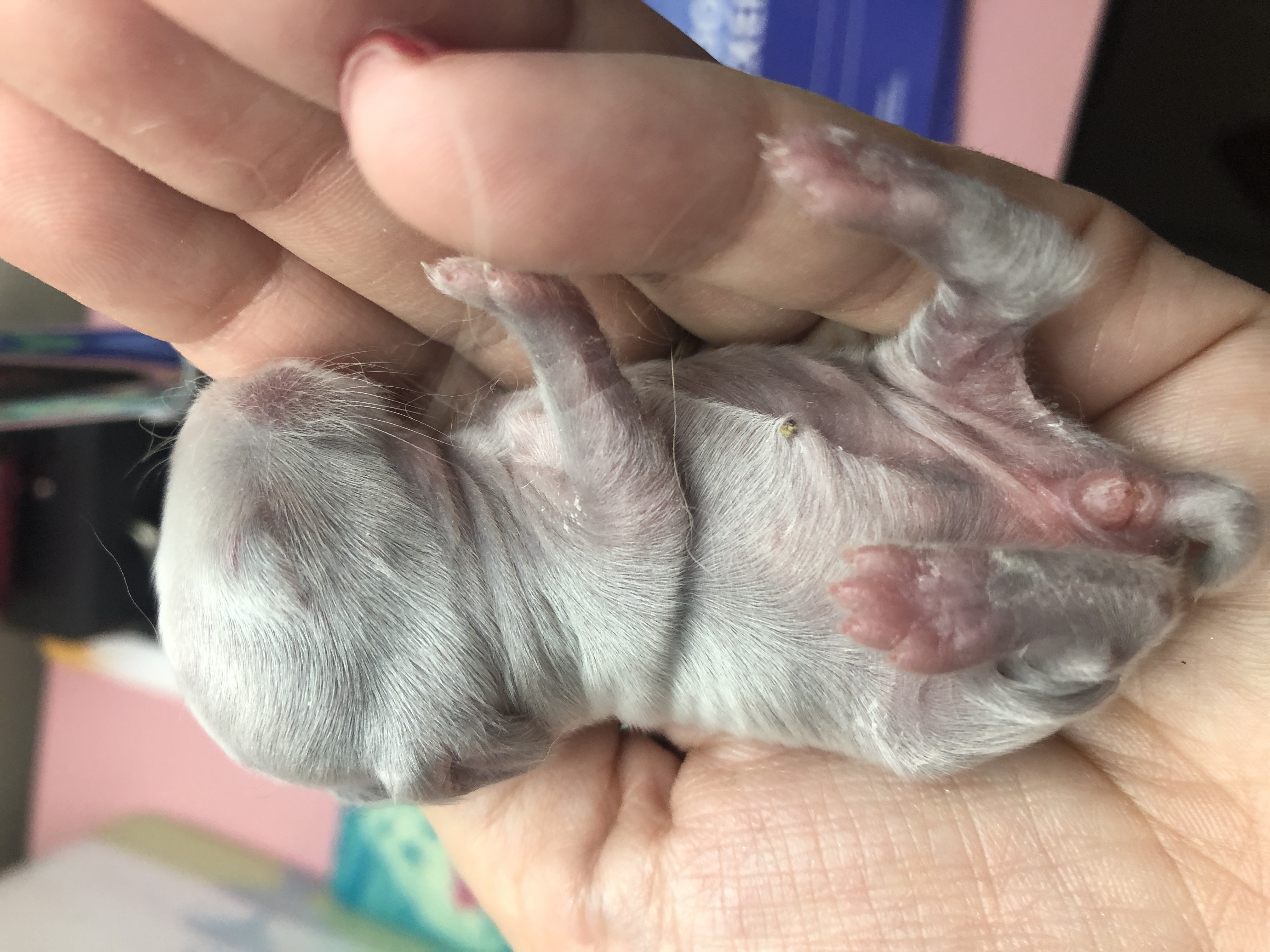 baby1.jpg