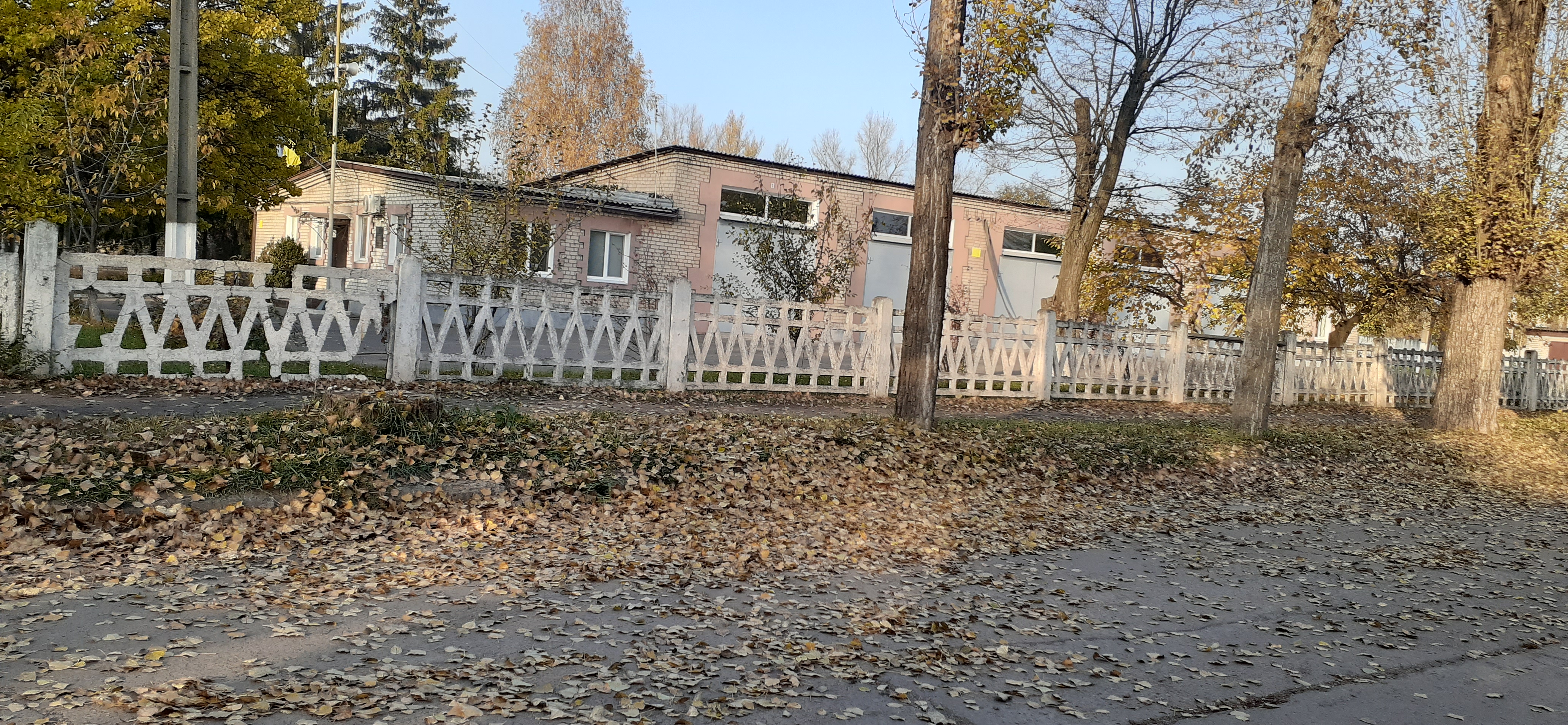 20201112_143053.jpg