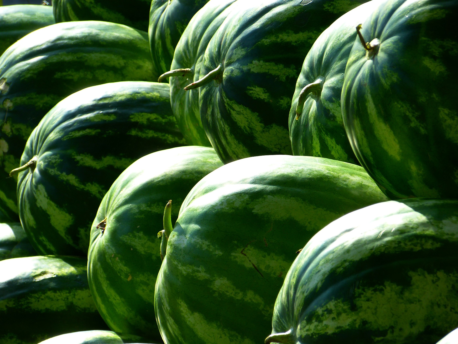 melons-197025_1920.jpg