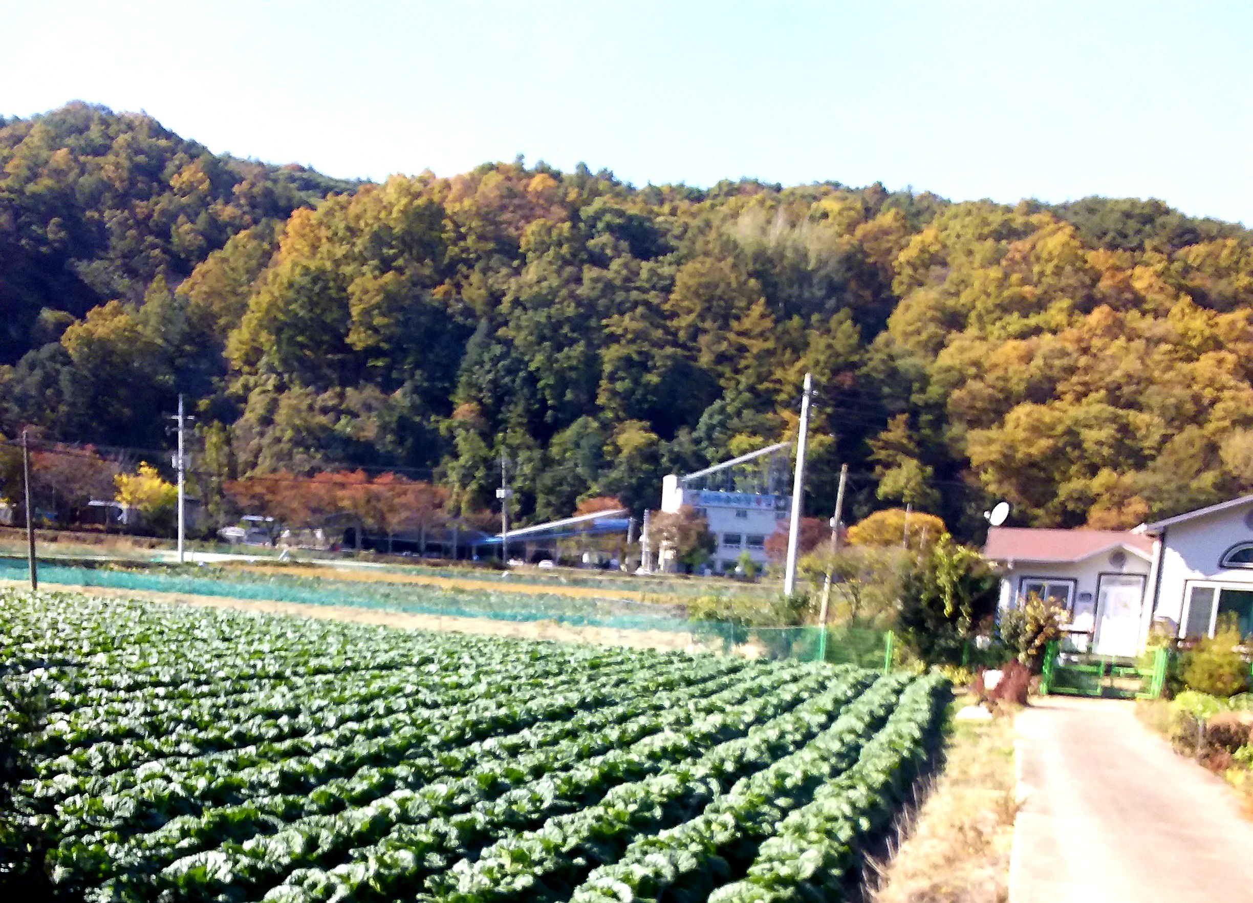 20201124_124536.jpg