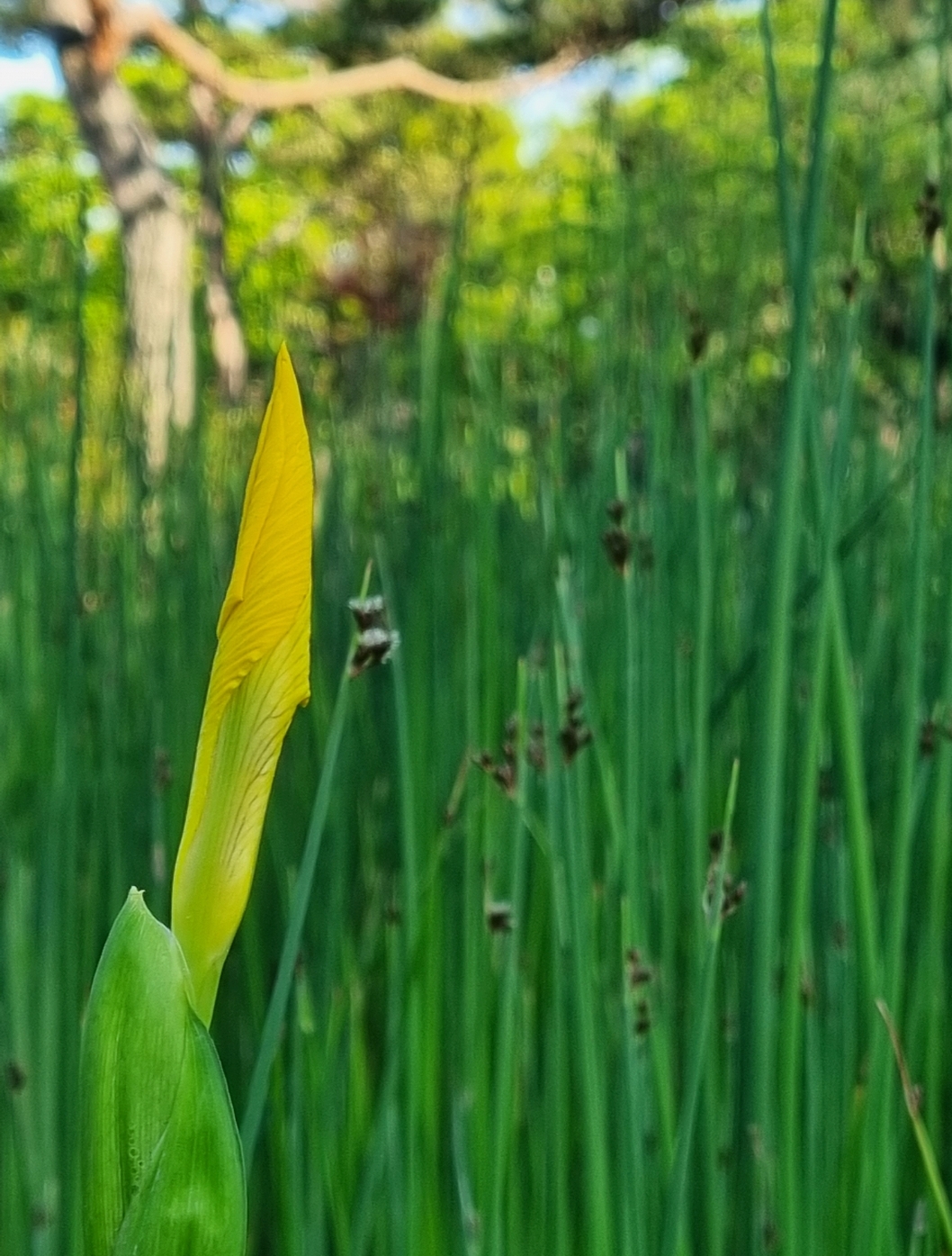 SmartSelect_20210502-212219_Gallery.jpg