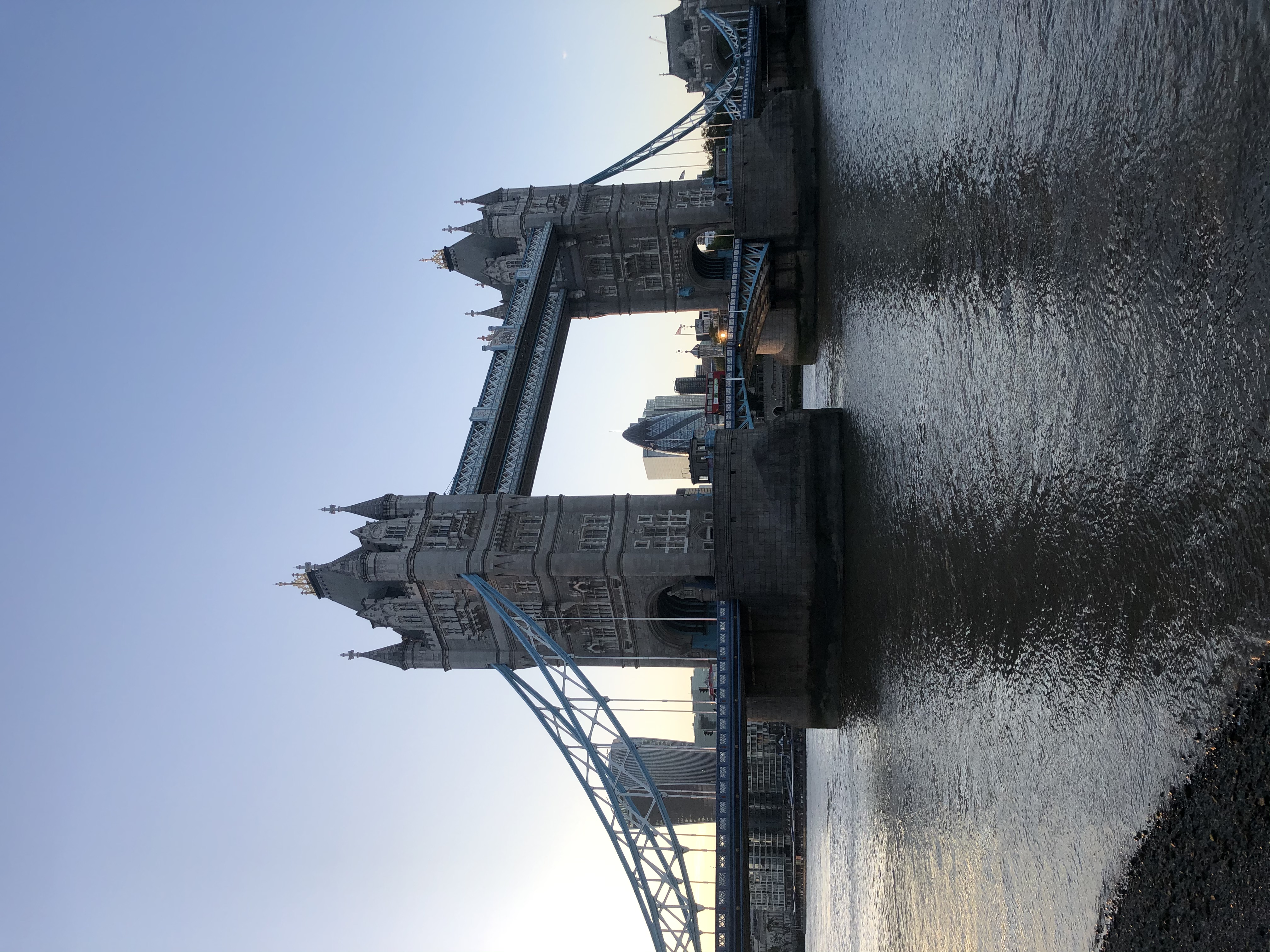 IMG_2440.jpeg