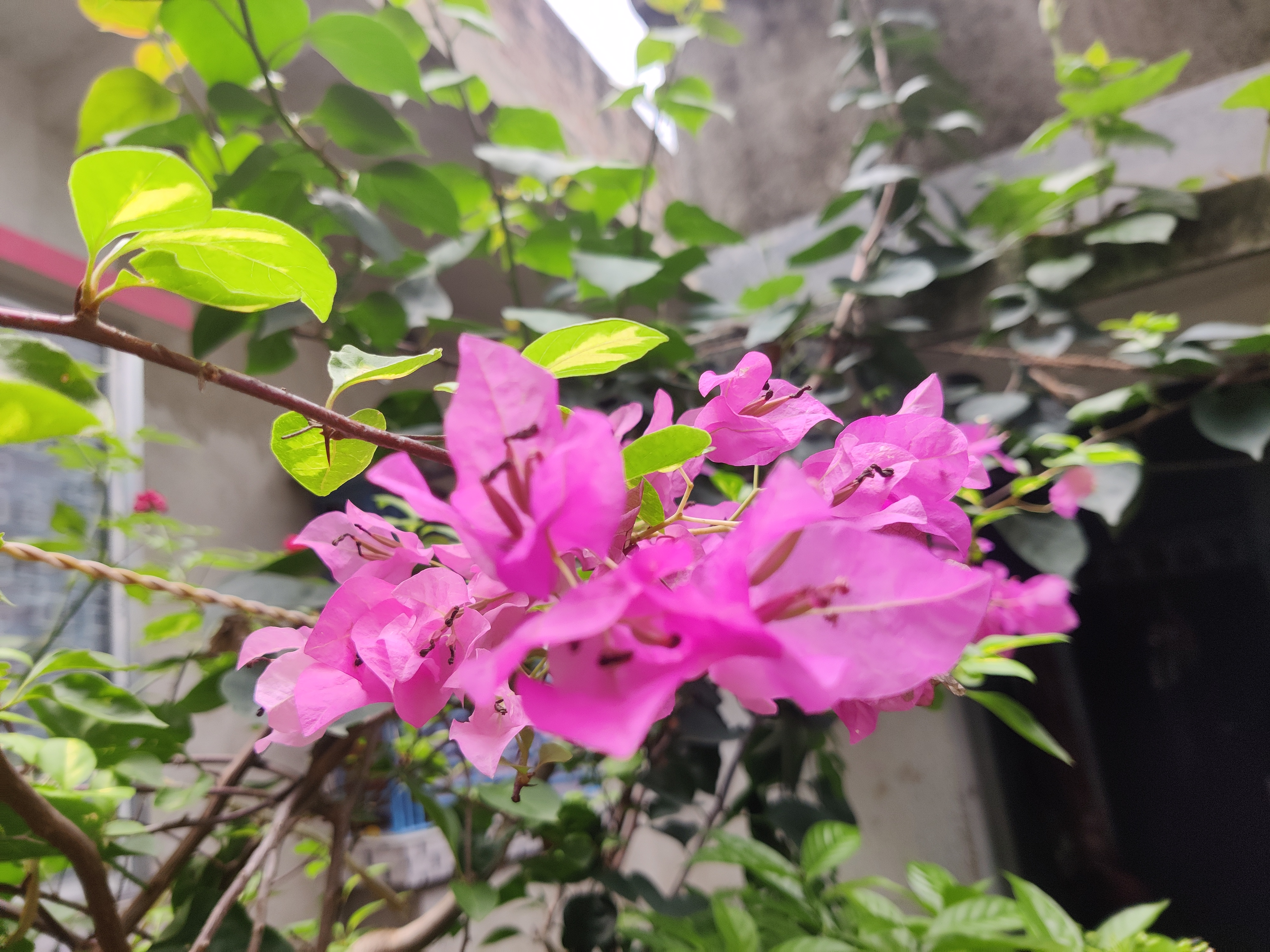 IMG_20260704_103846.jpg