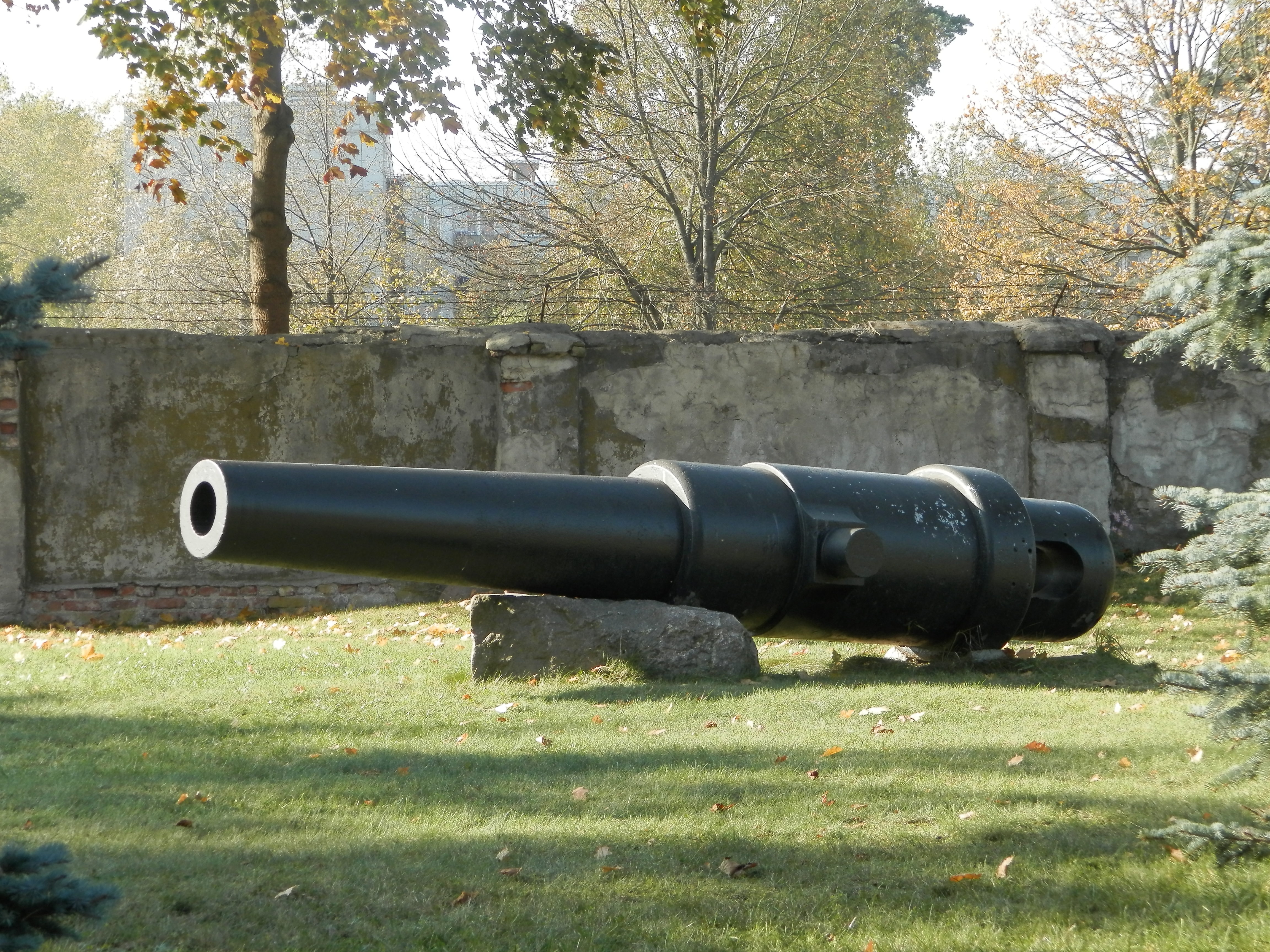 PA130122.JPG