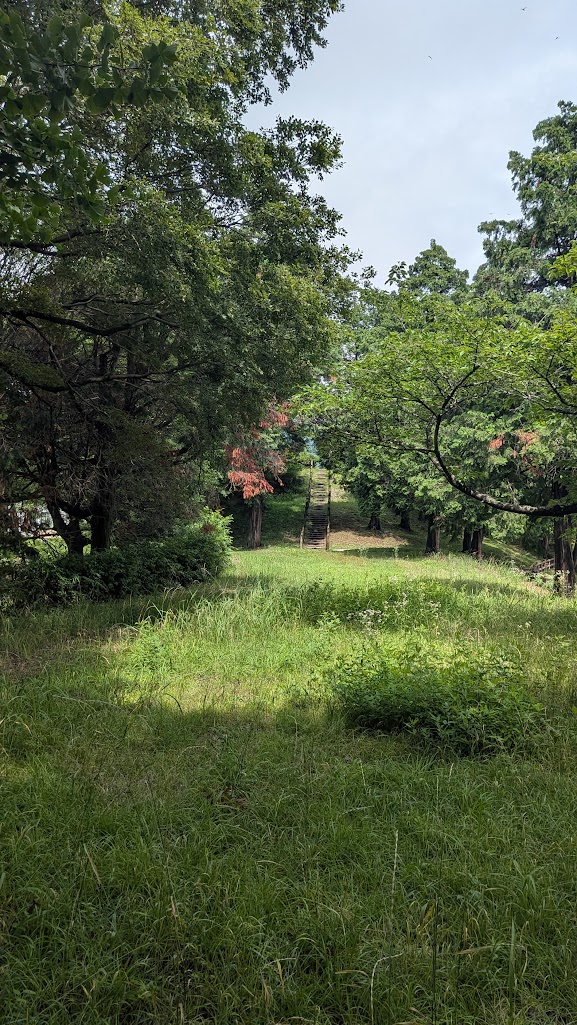 PXL_20260628_050132915.jpg