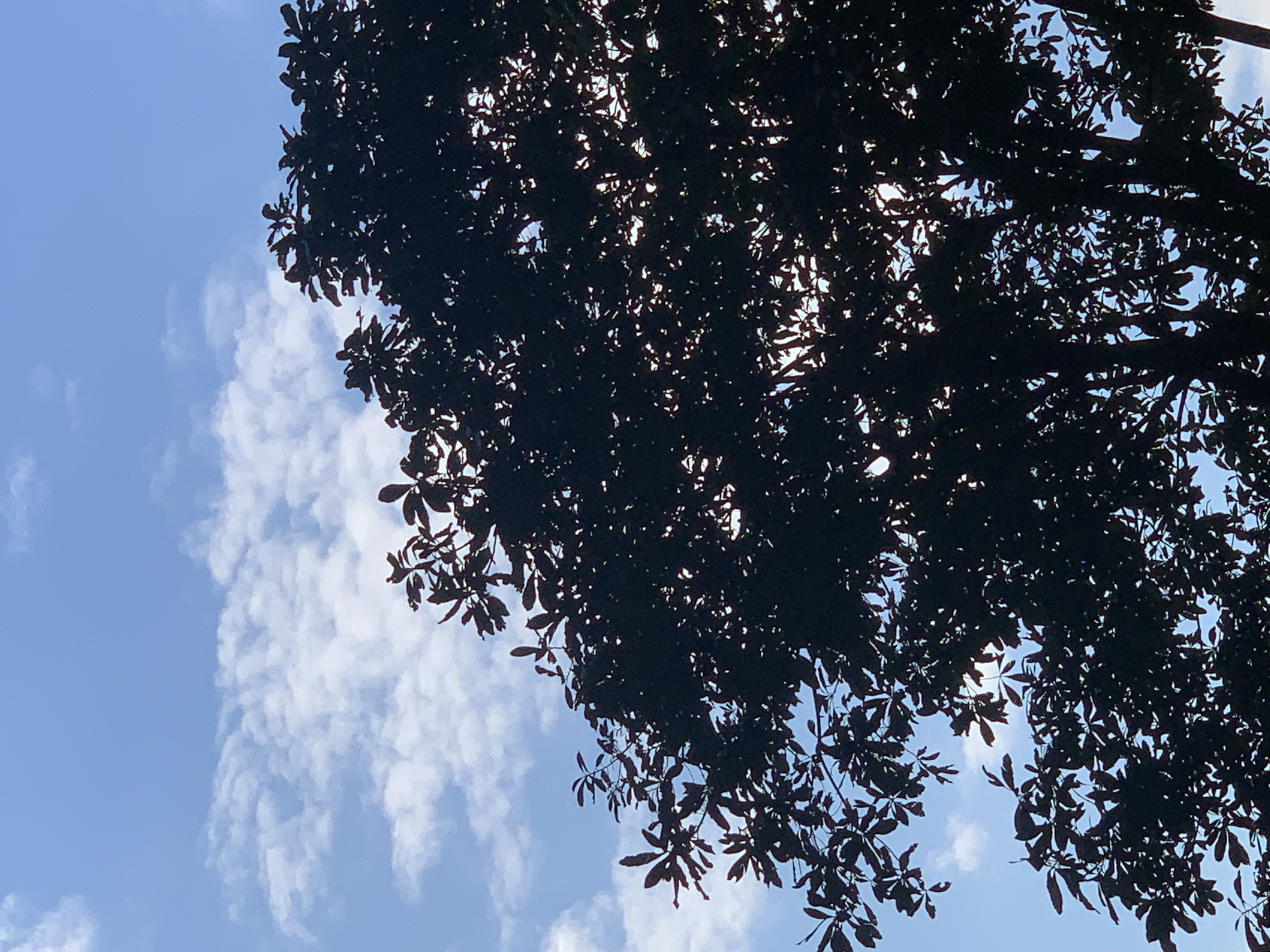 nature813.jpg
