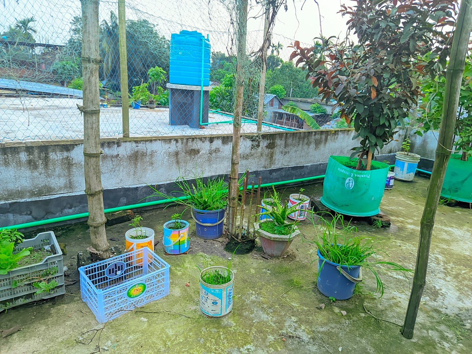 1000120322.jpg