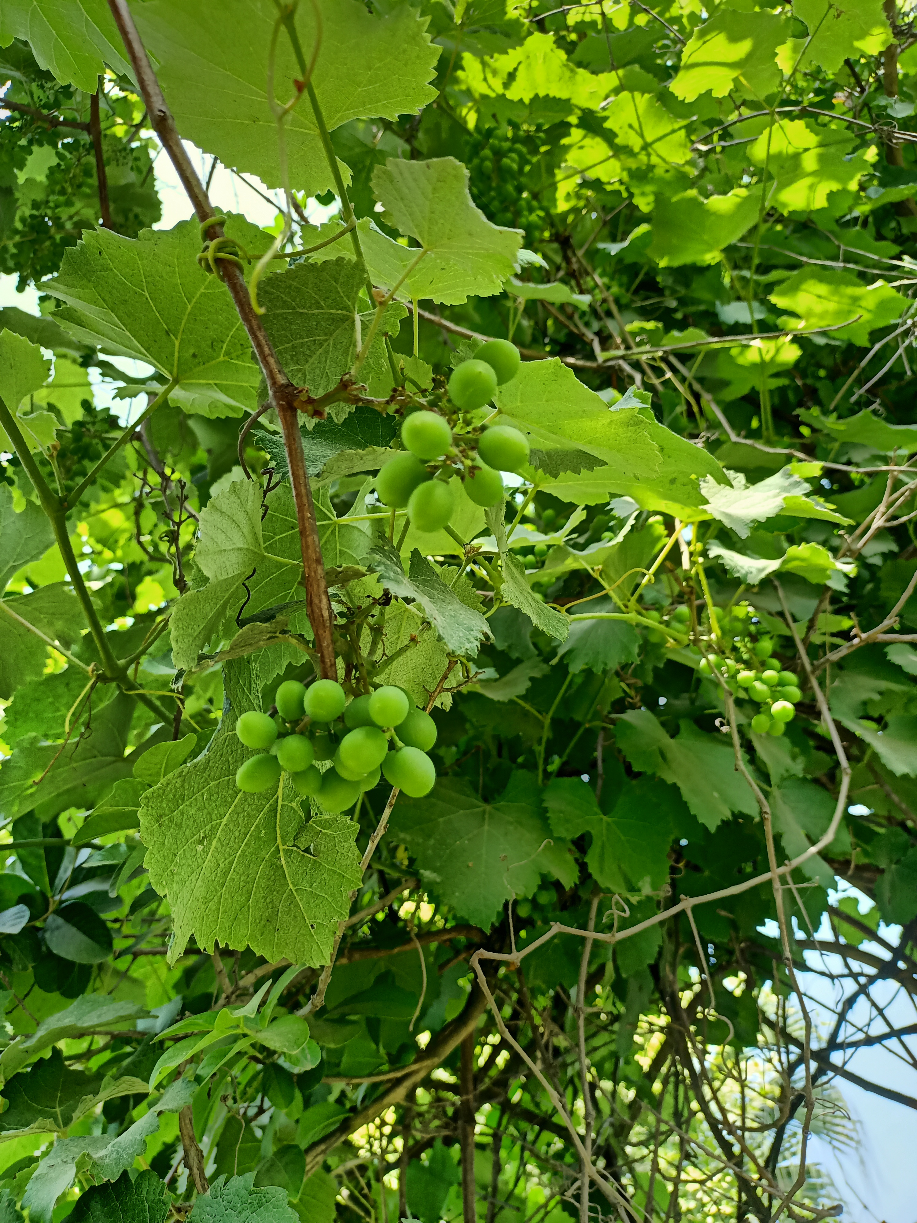 IMG20210421105543.jpg