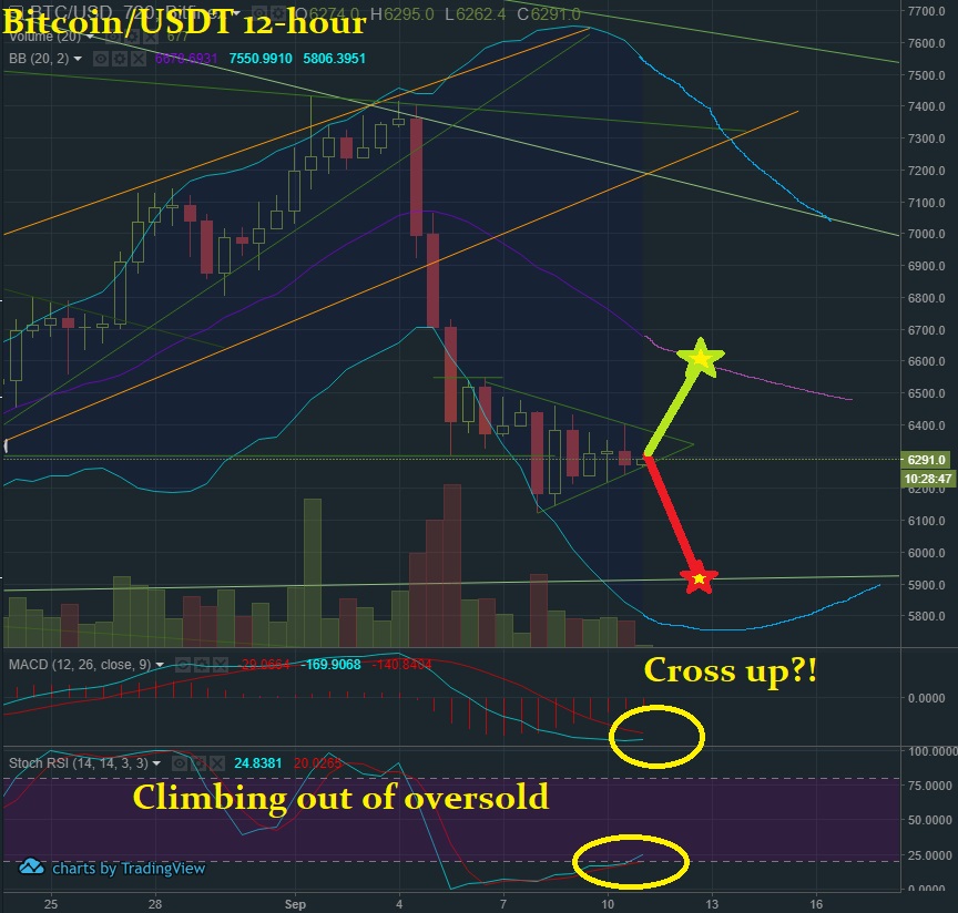 Sept 11 BTC T&A.jpg