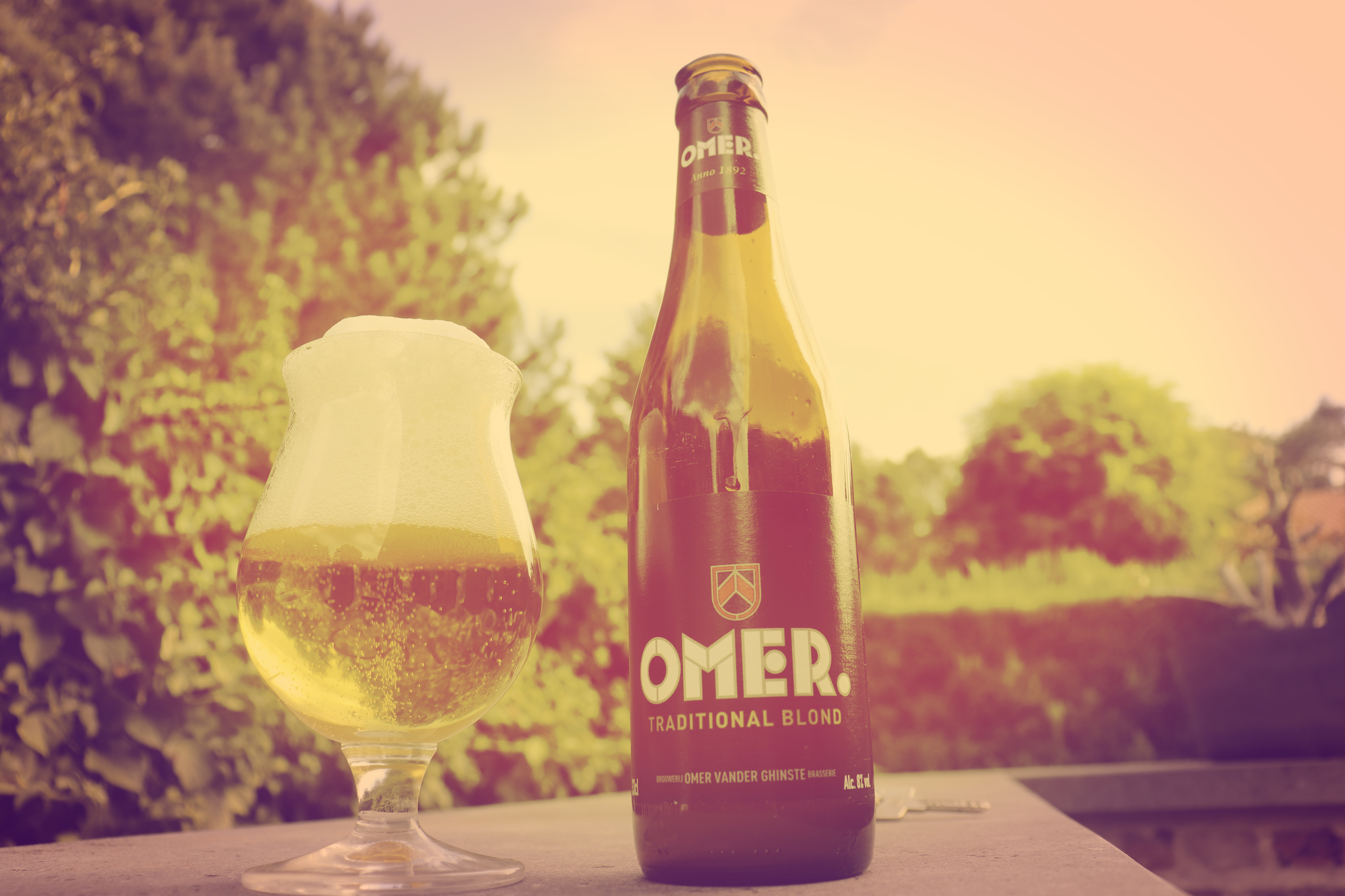 omer4.JPG