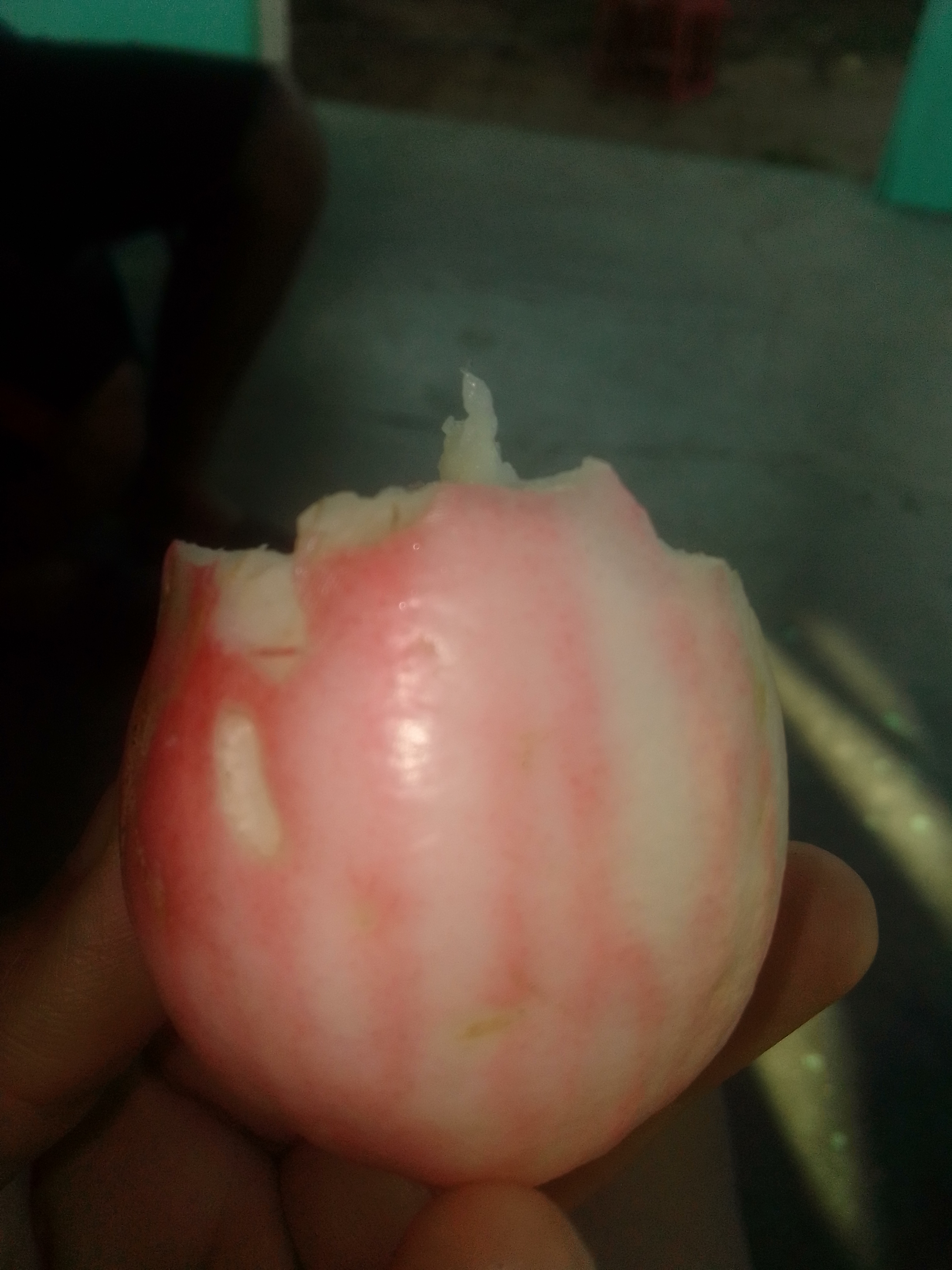 IMG_20220117_170138.jpg
