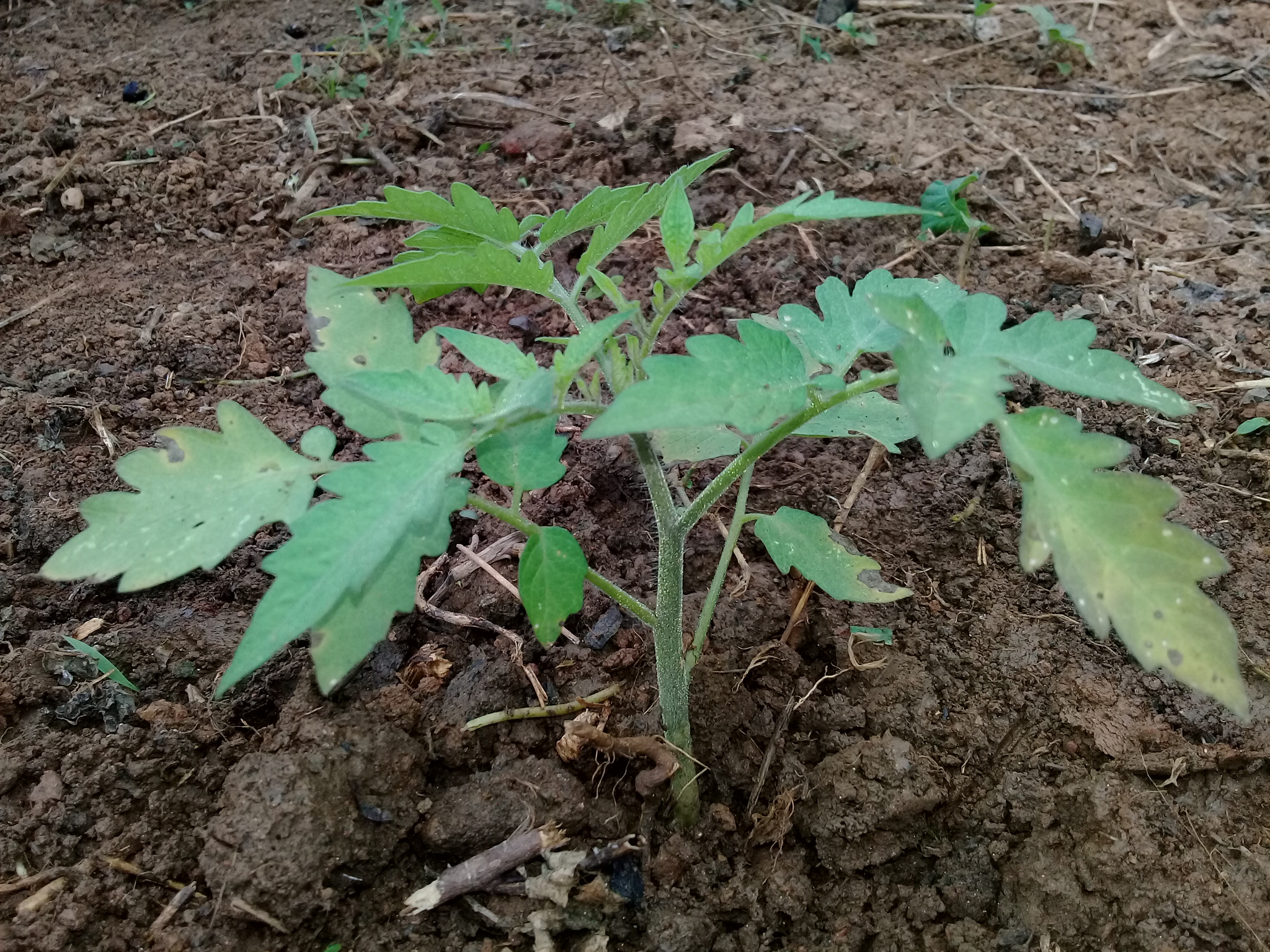 20180807_093025.jpg