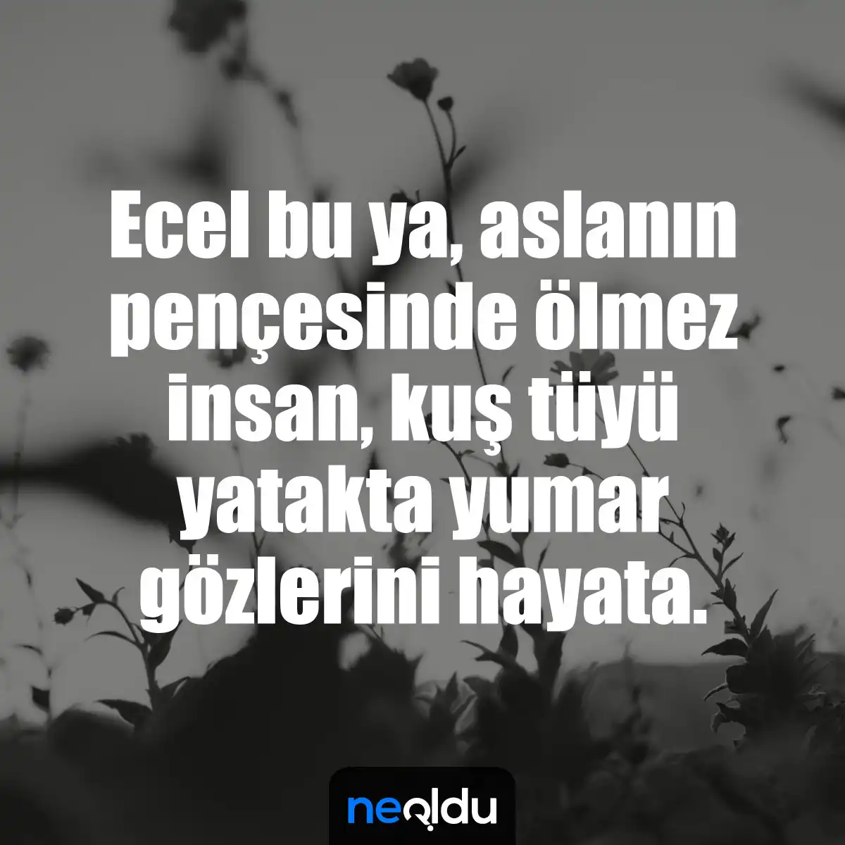 olum-sozleri.webp