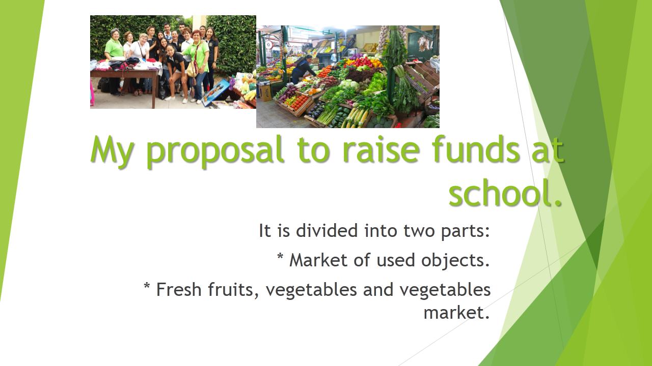 My%20proposal%20to%20raise%20funds%20at%20school.png