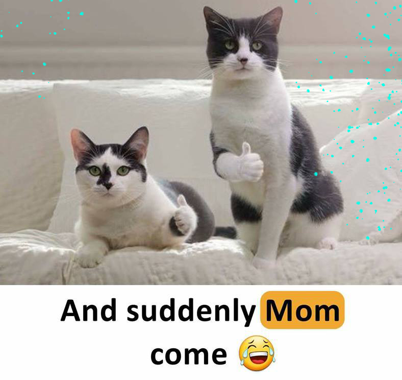 when you are fighting with your sibling.jpg