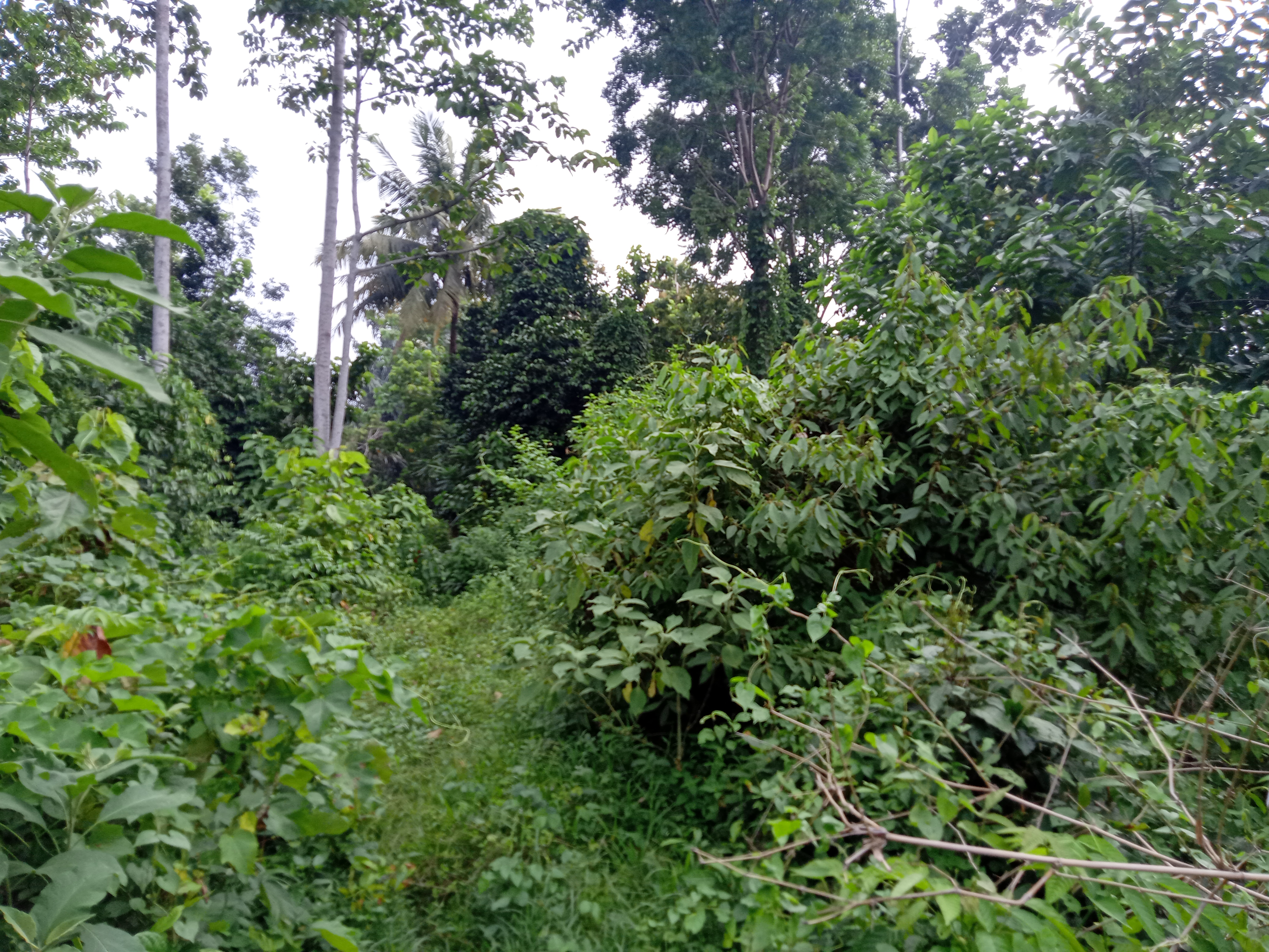 IMG20210531142017.jpg