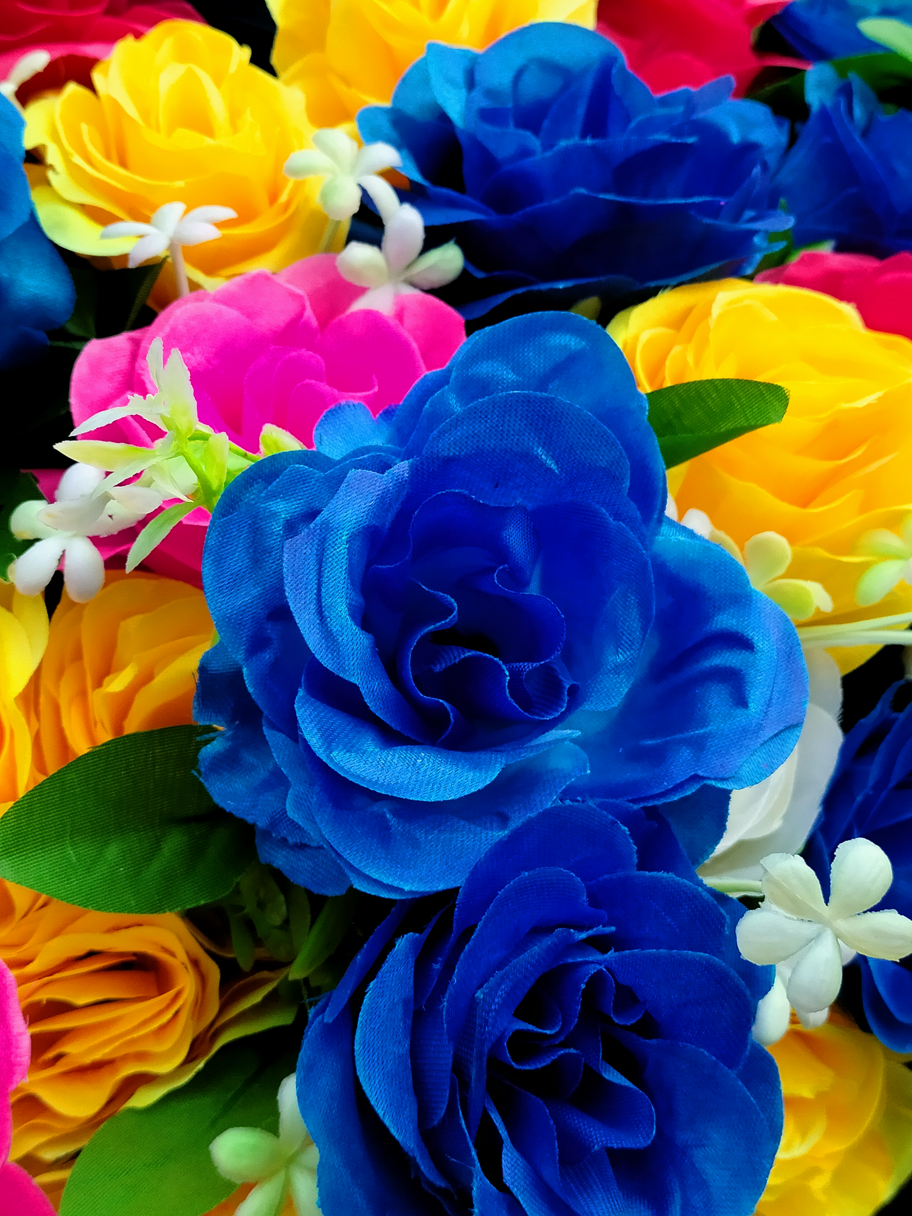 IMG20221017162105.jpg