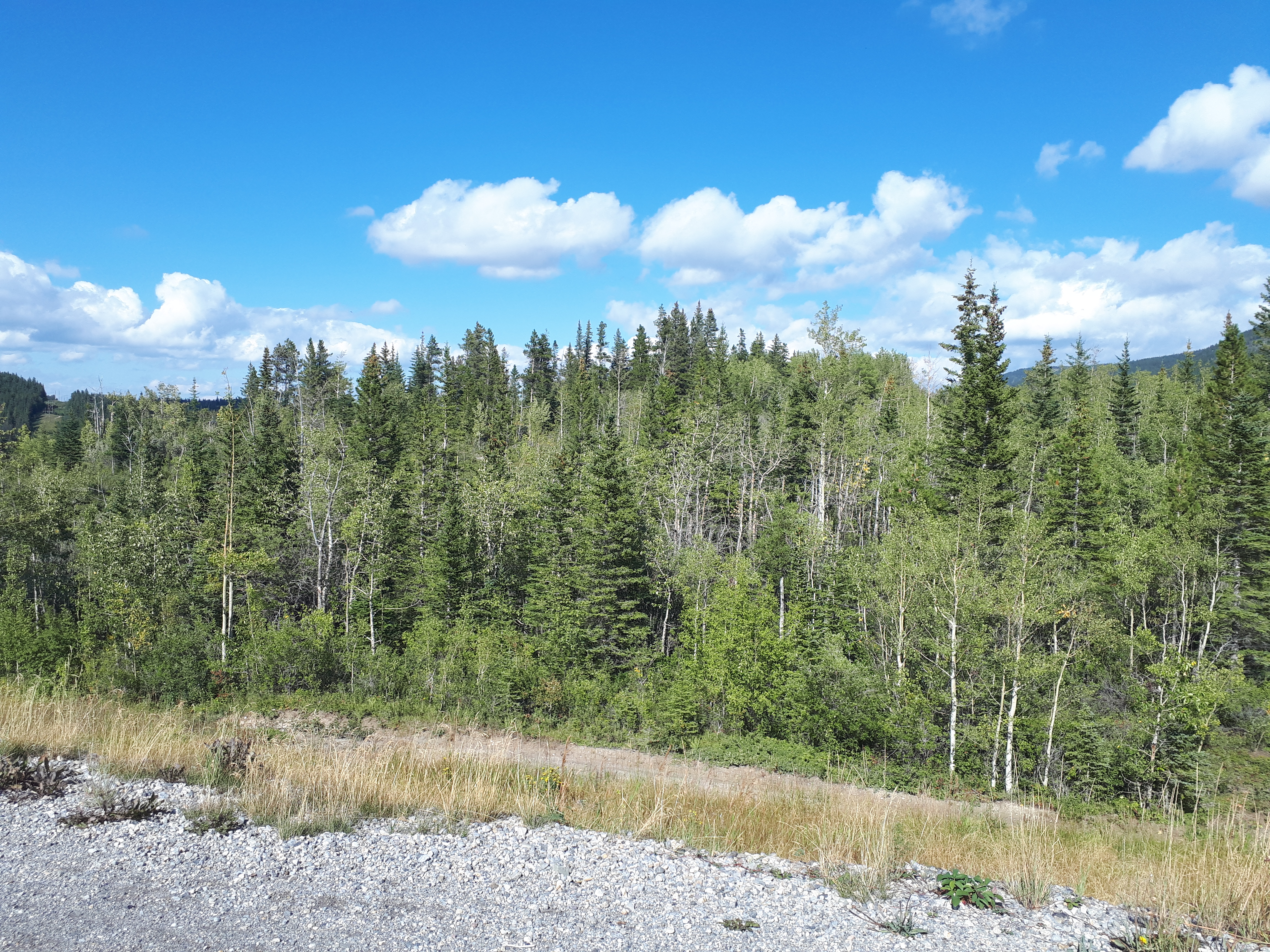 20180827_161424.jpg