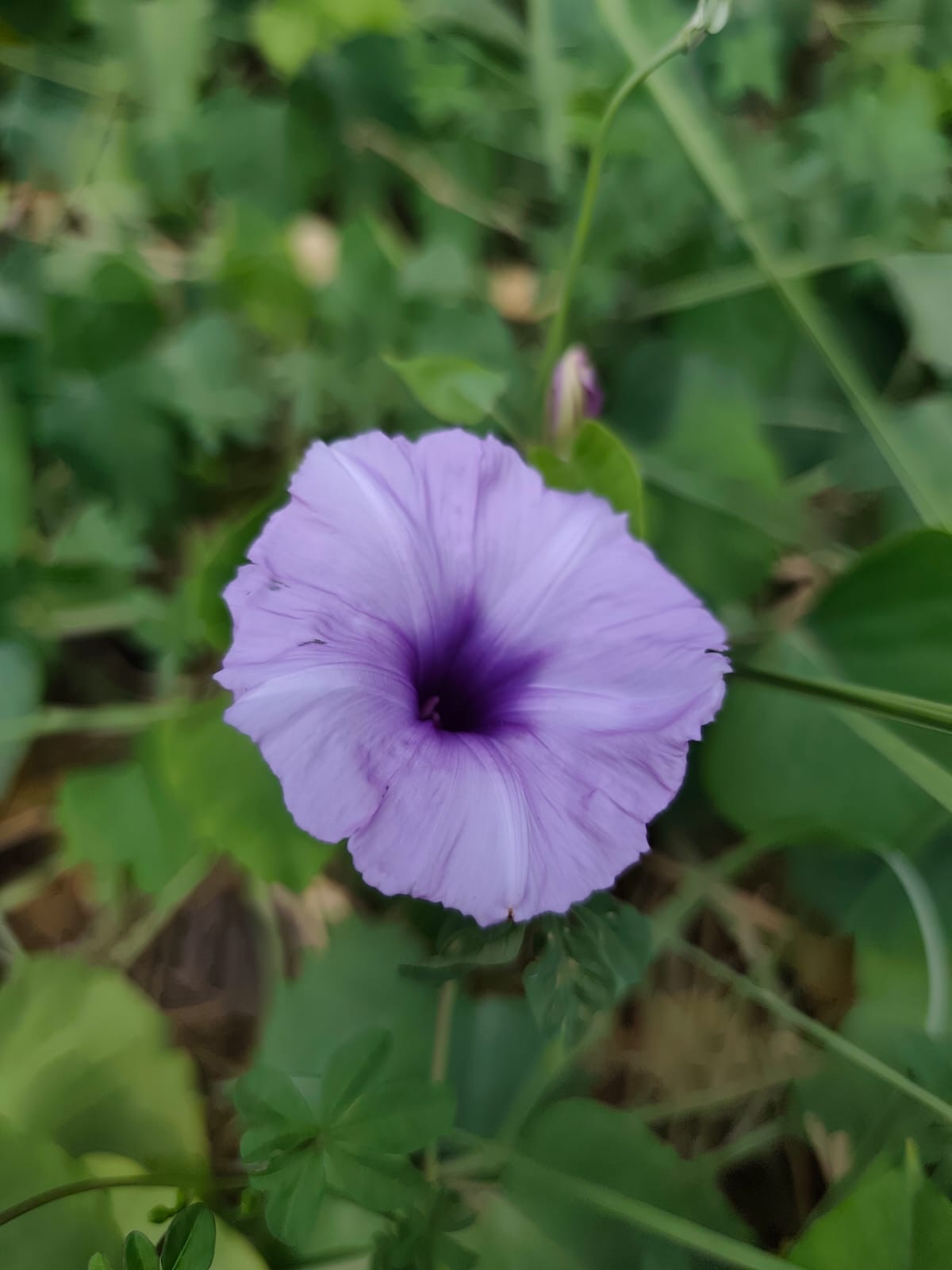 4a0effa2-0086-4942-ae2a-df7c17a67931.jpeg
