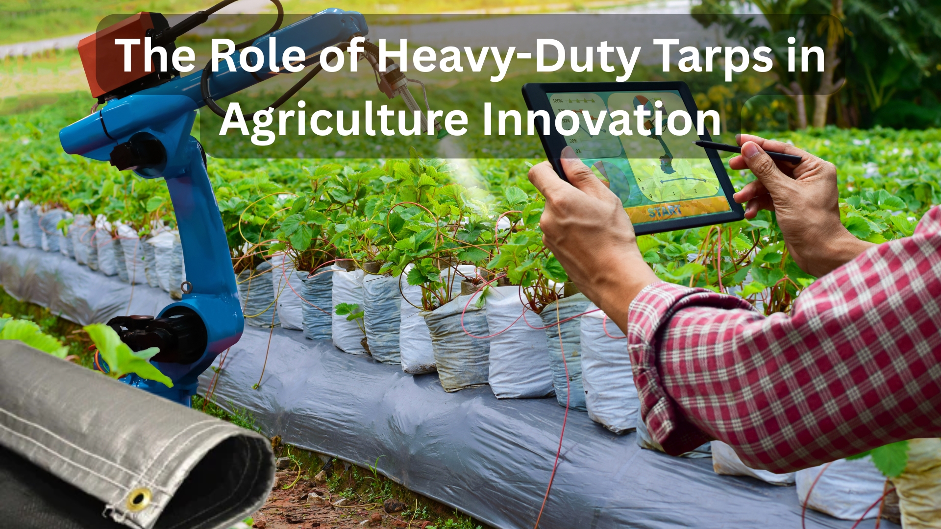 The Role of Heavy-Duty Tarps in Agriculture Innovation.jpg
