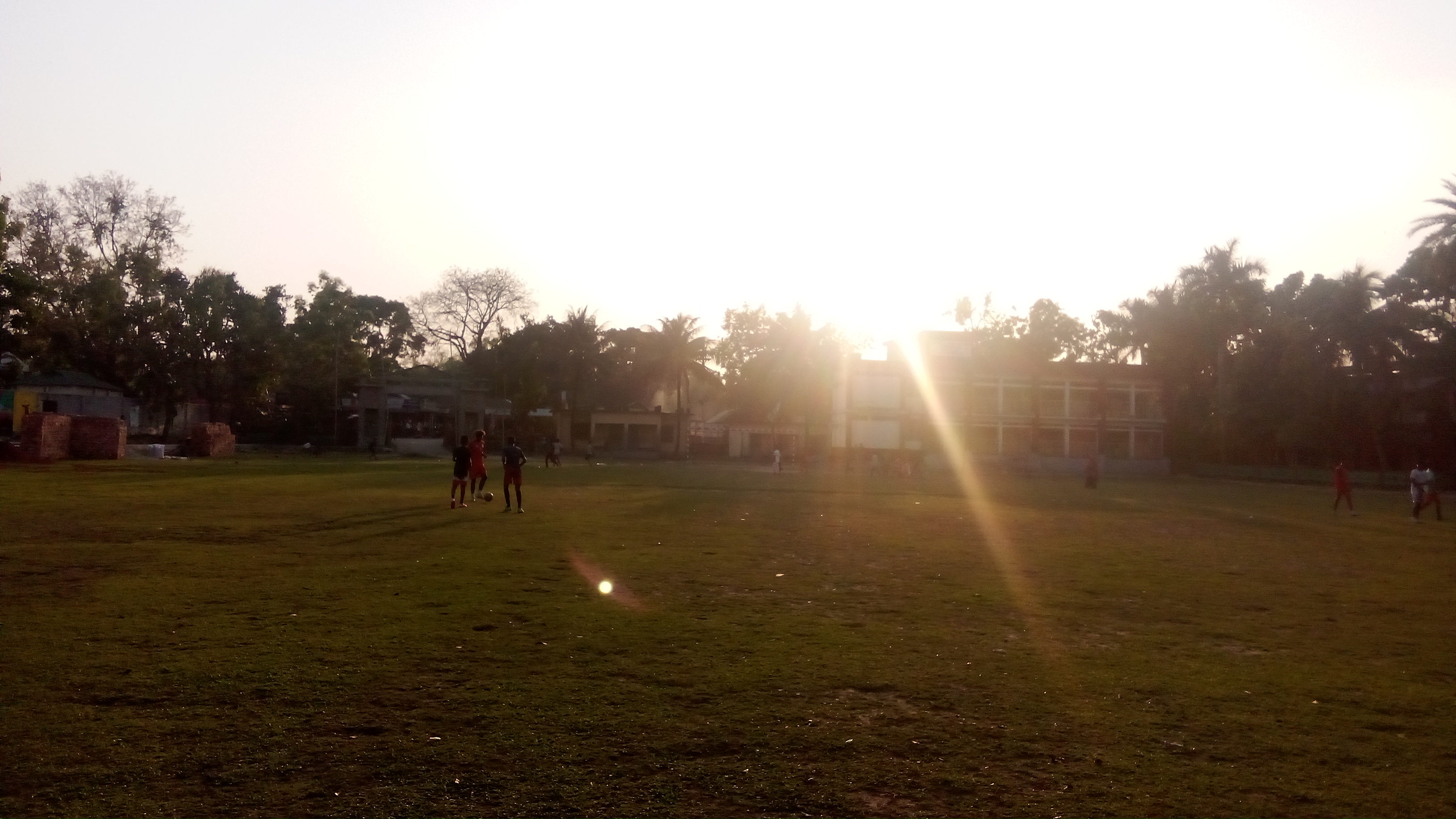 IMG_20260520_172612.jpg