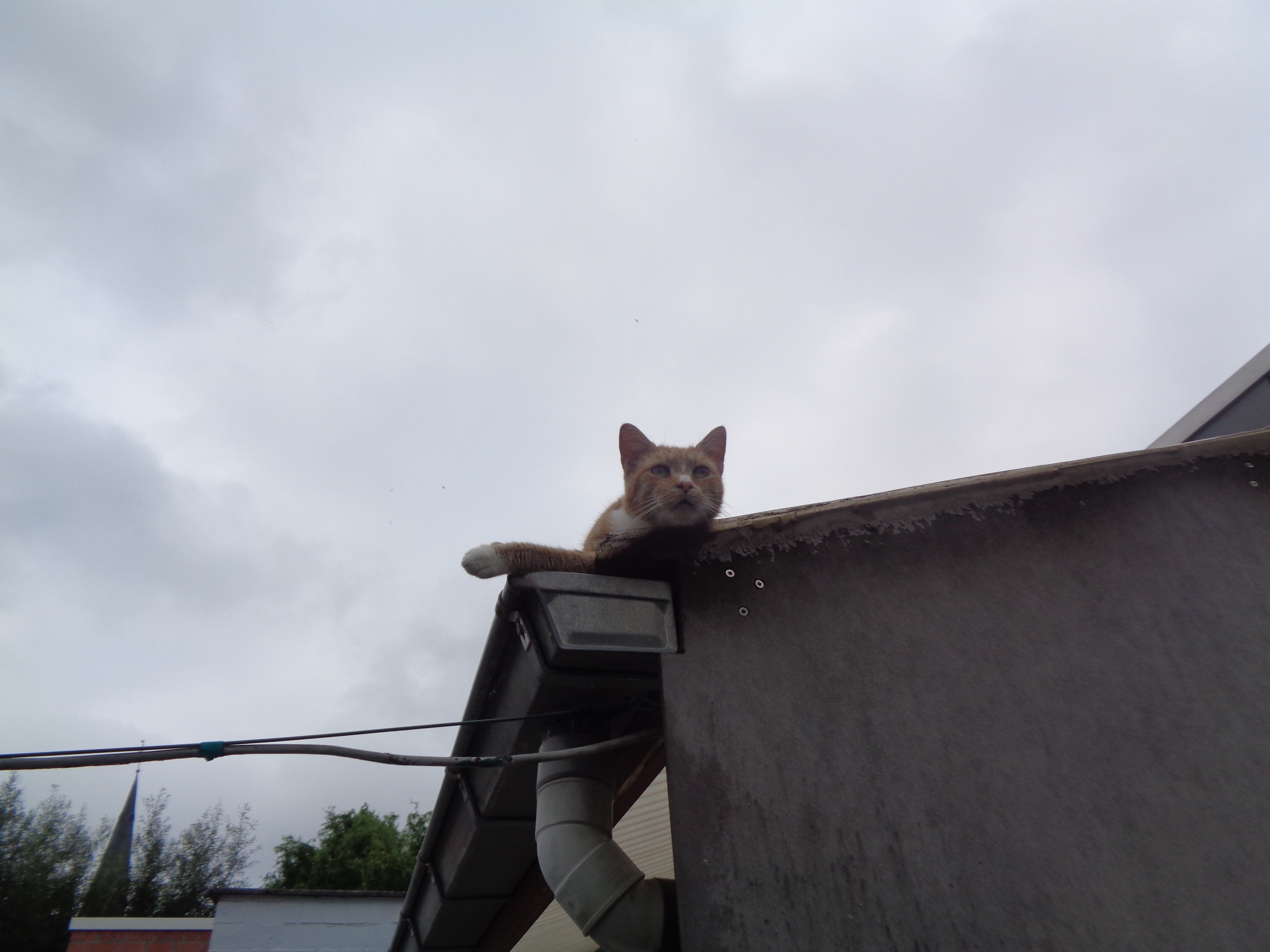 DSC02539.JPG
