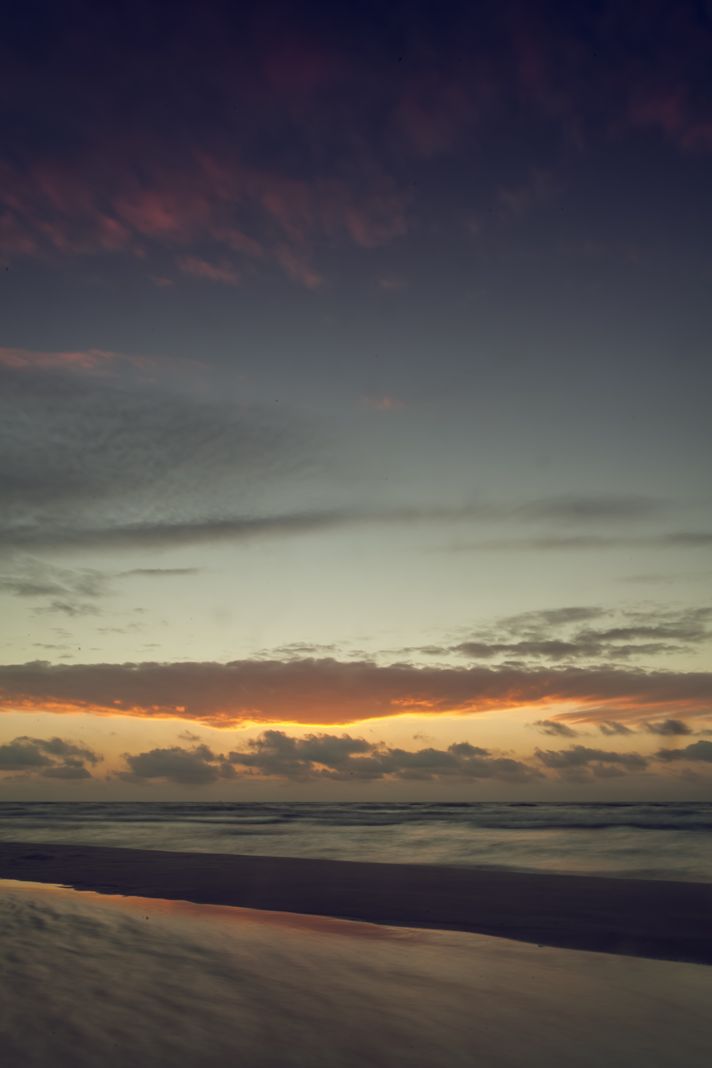 _MG_7519.jpg