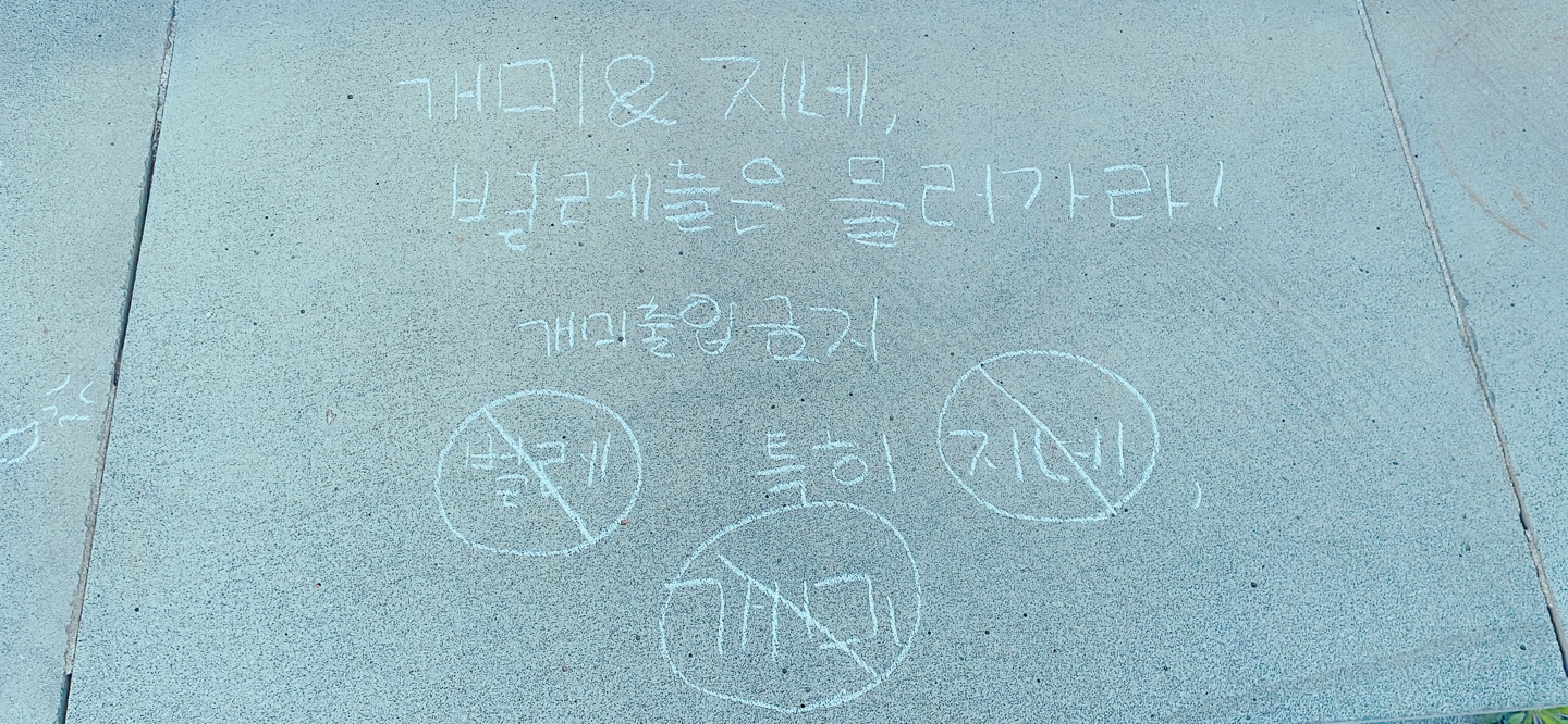 KakaoTalk_20250313_154647983_20.jpg