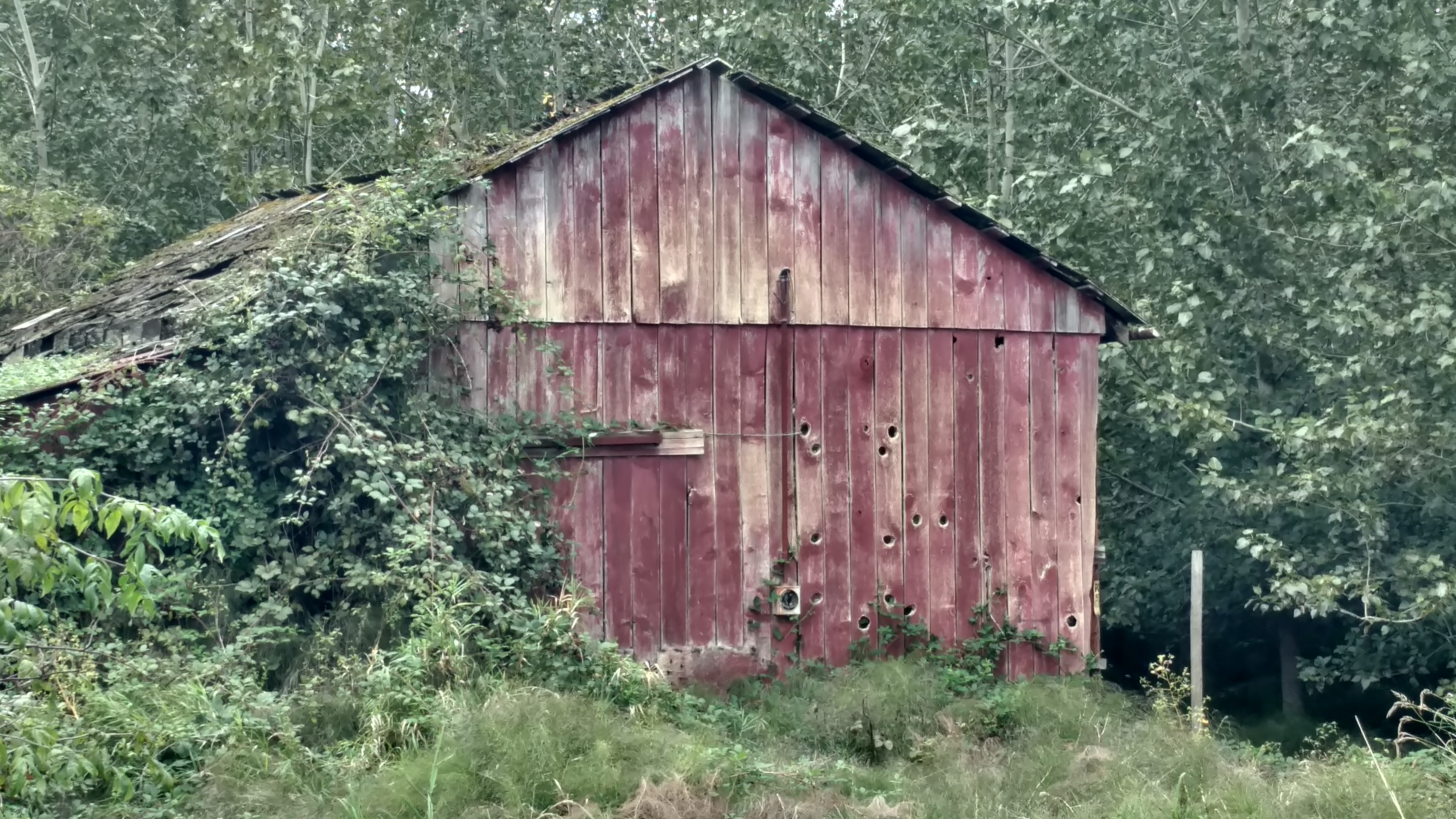 IMG_20190923_141013153_HDR.jpg