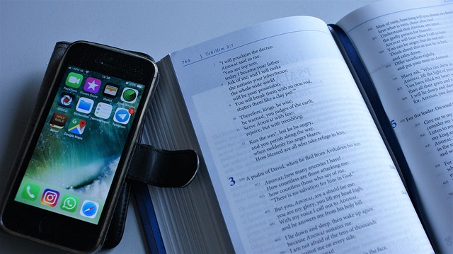 image_search_1779532501824.jpg