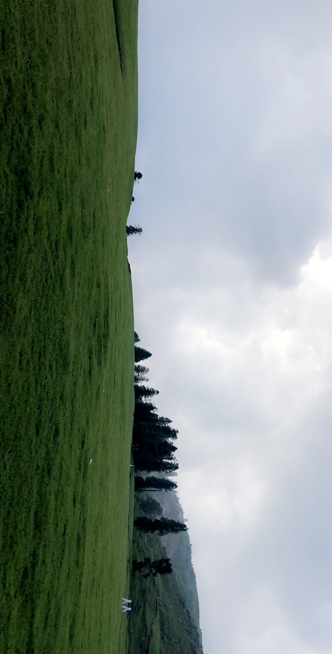 019F10D4-80B4-4035-B827-9AC67A79B859.jpeg