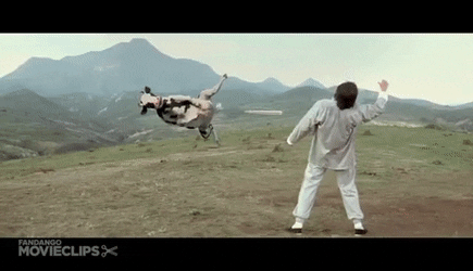 kungpow3.gif