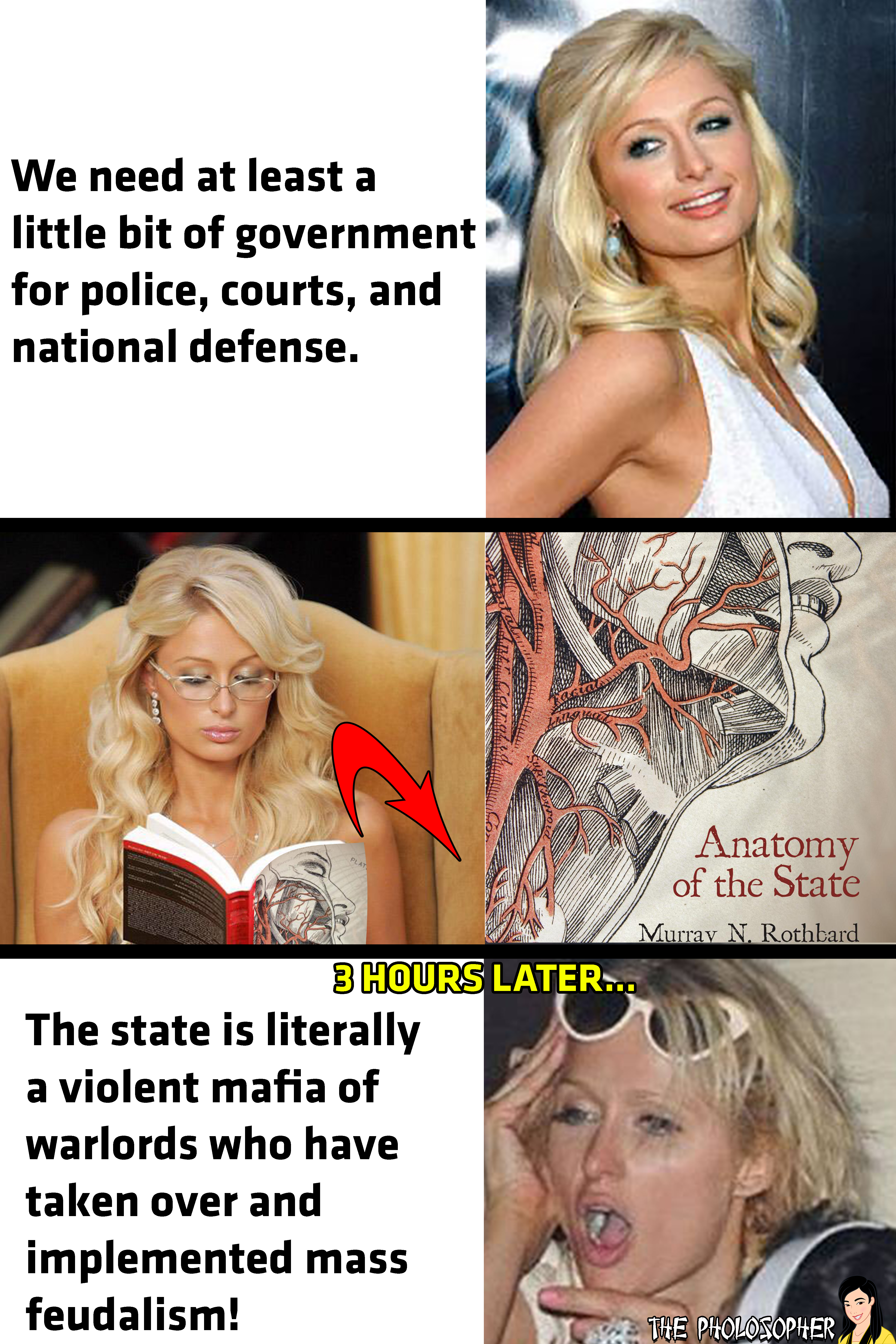 paris hilton anatomy of the state.jpg