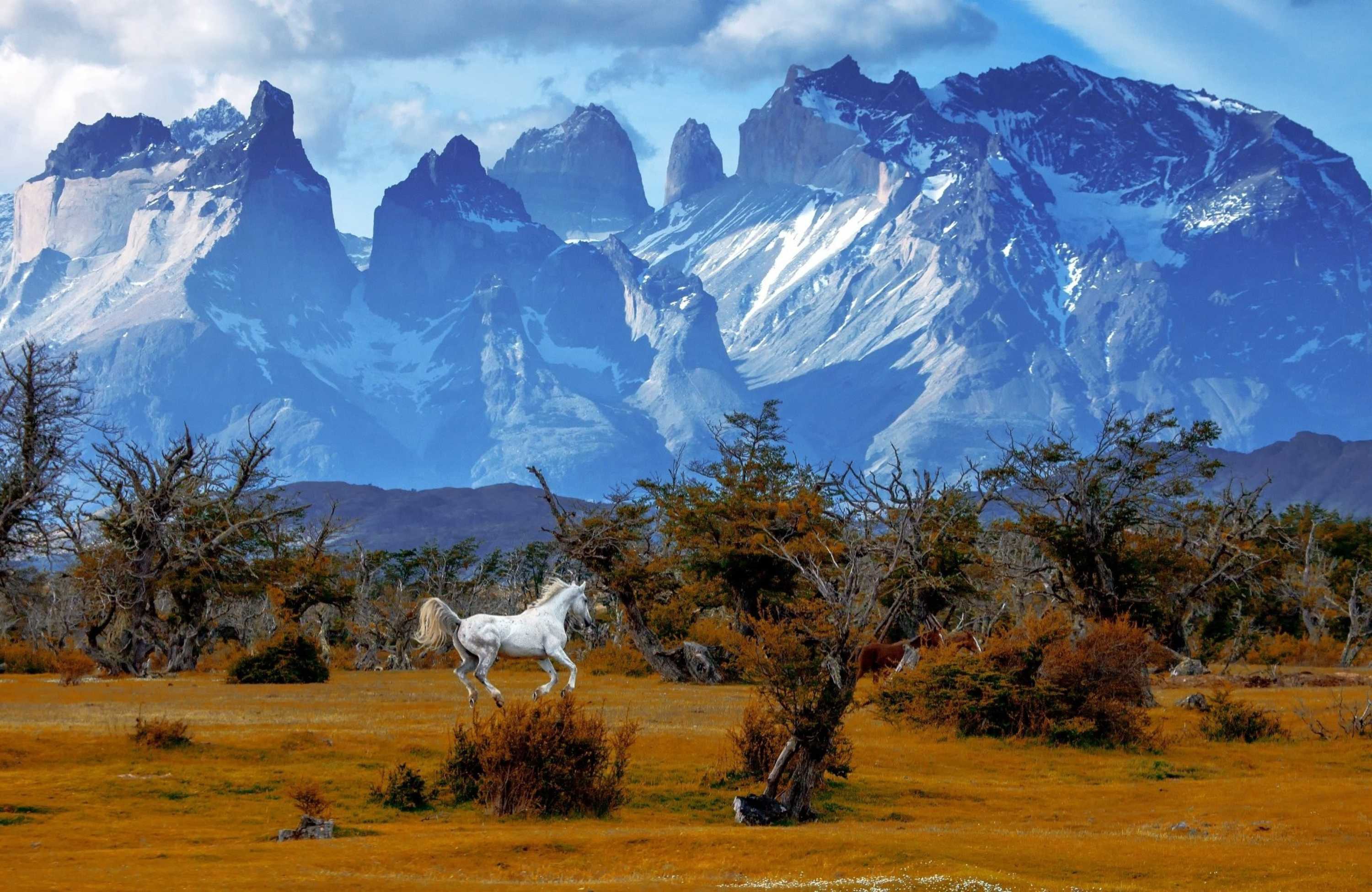 mountains-4934193.jpg
