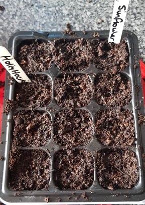 GARDENING 30.jpg