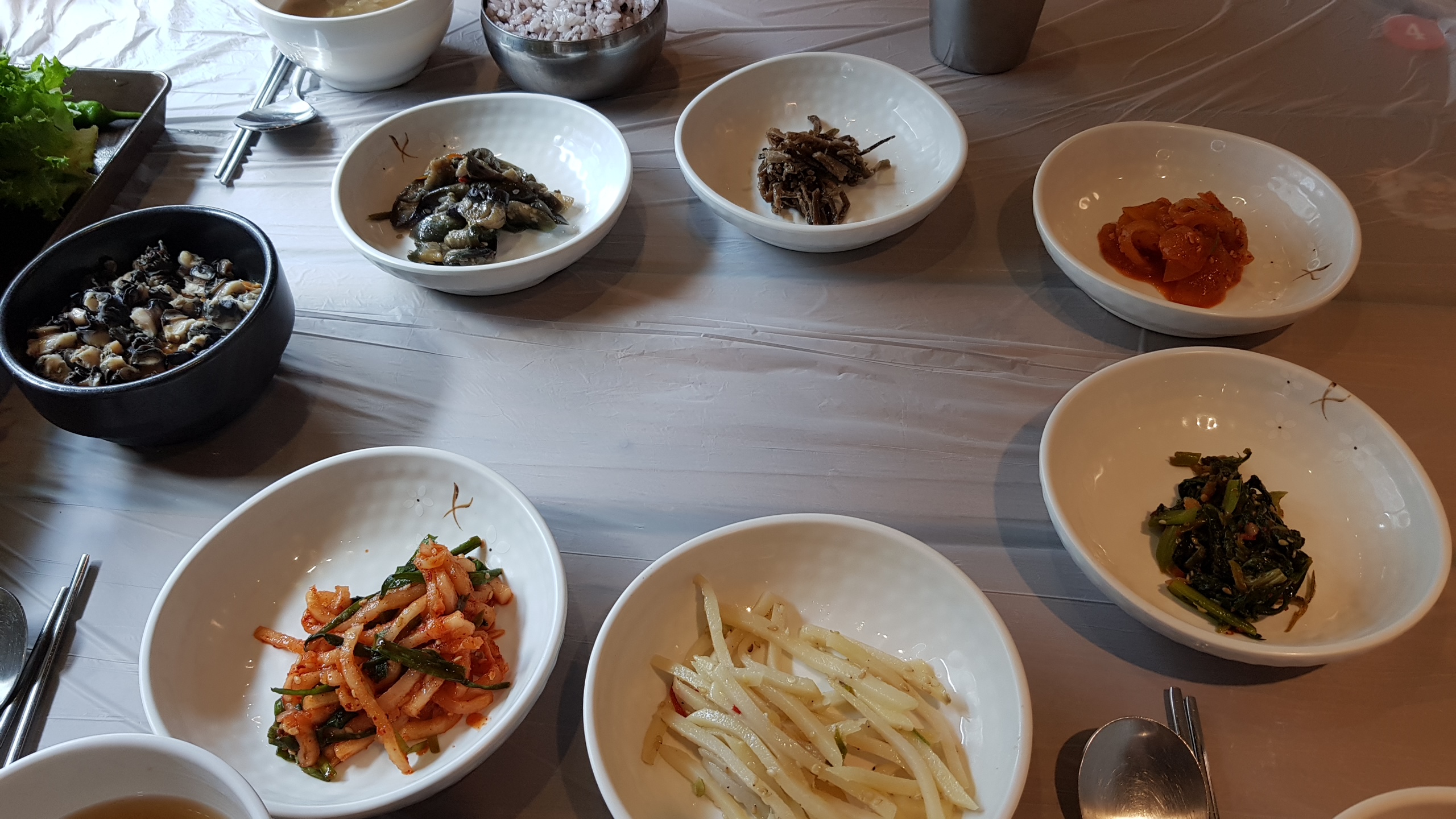20190816_131334.jpg