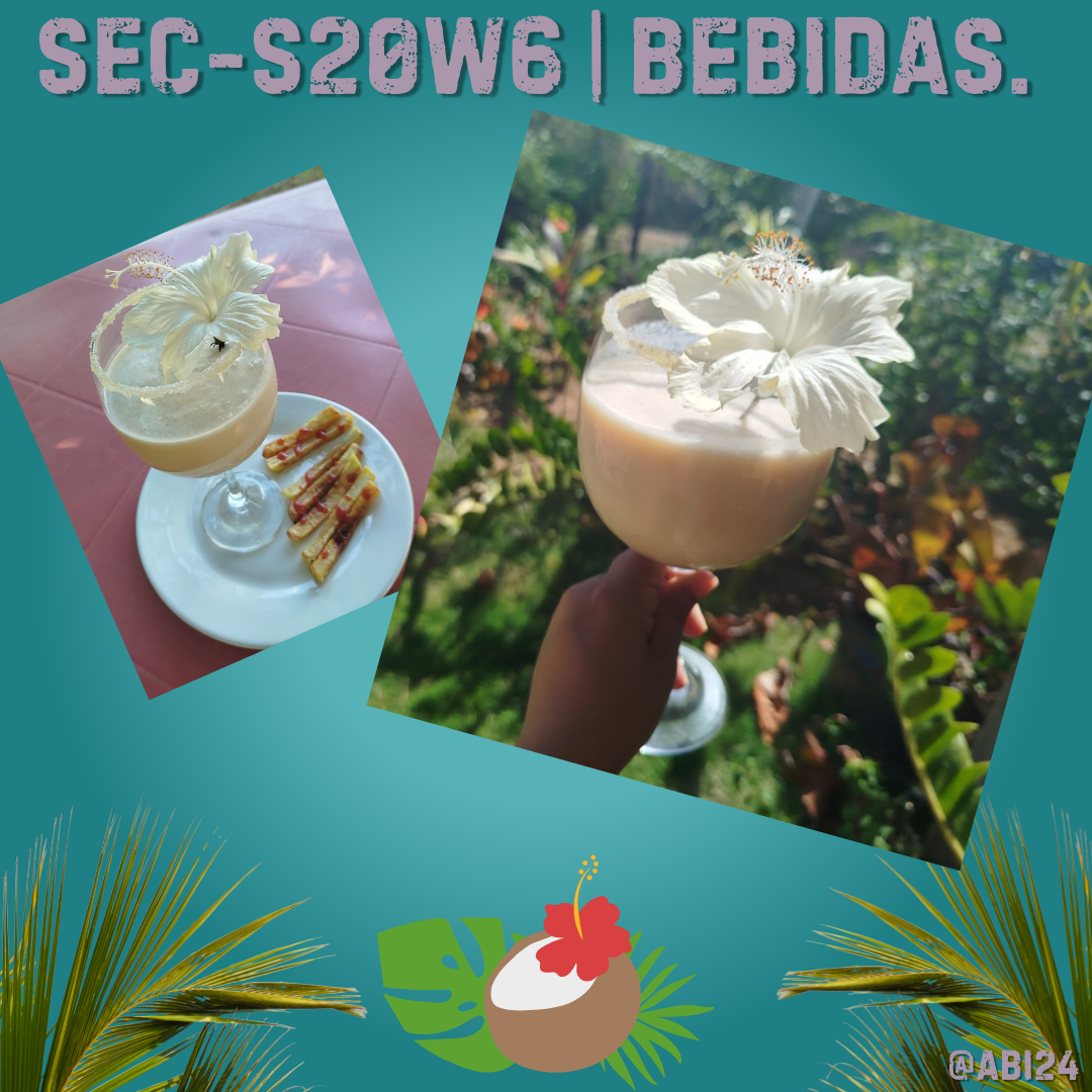 SEC-S20W6 Bebidas..png